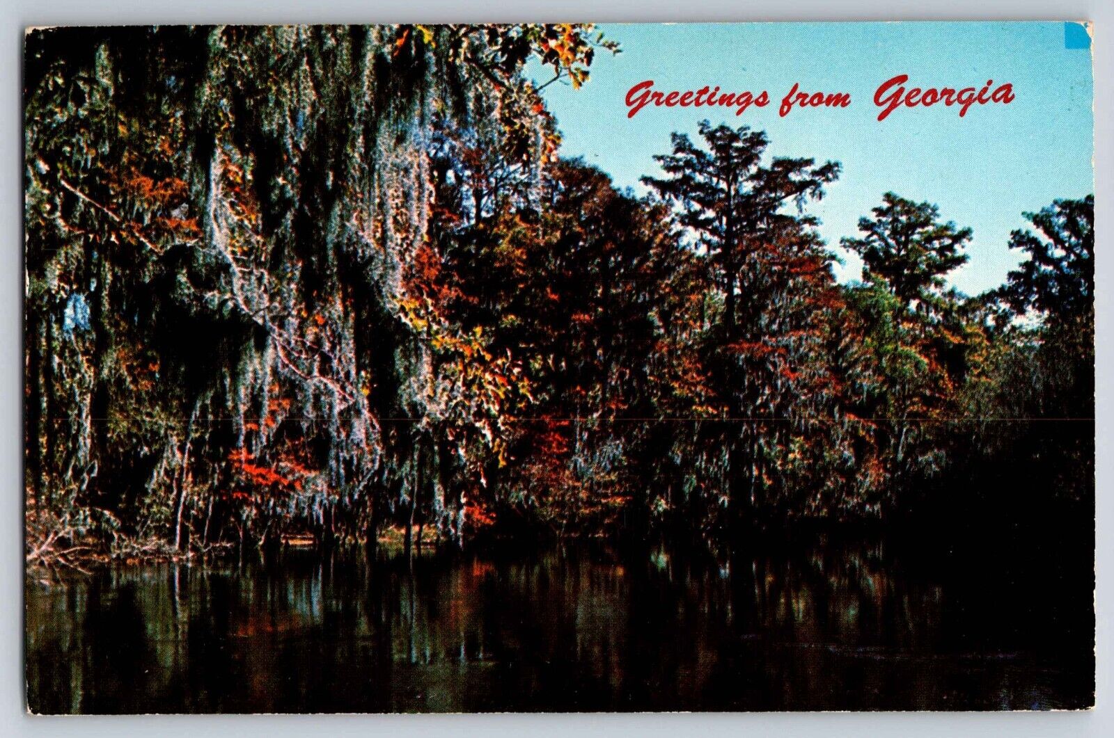 Postcard  Greetings from Sylvania  Georgia    D-3