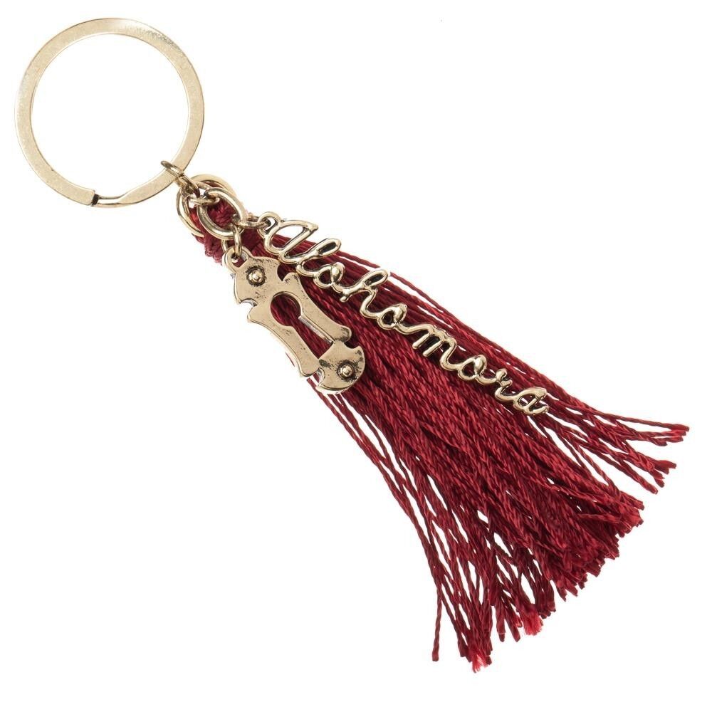 Harry Potter Alohomora Spell Metal Keychain w/ Tassel Key Chain Lock Hole 