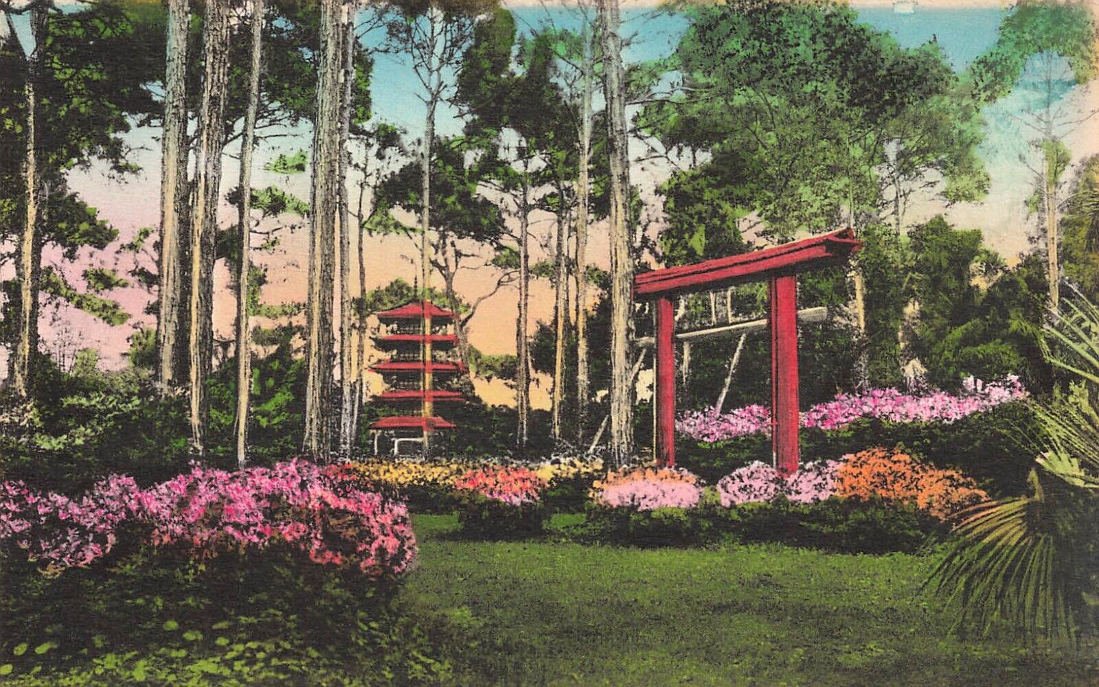 LP36 Clearwater Florida Belleair Eagle Nest Garden Hand Color Albertype Postcard