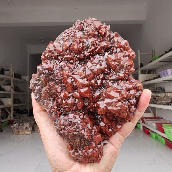 2.71LB Genuine rare Red Cap Auralite 23 raw cluster Quartz Mineral Specimen