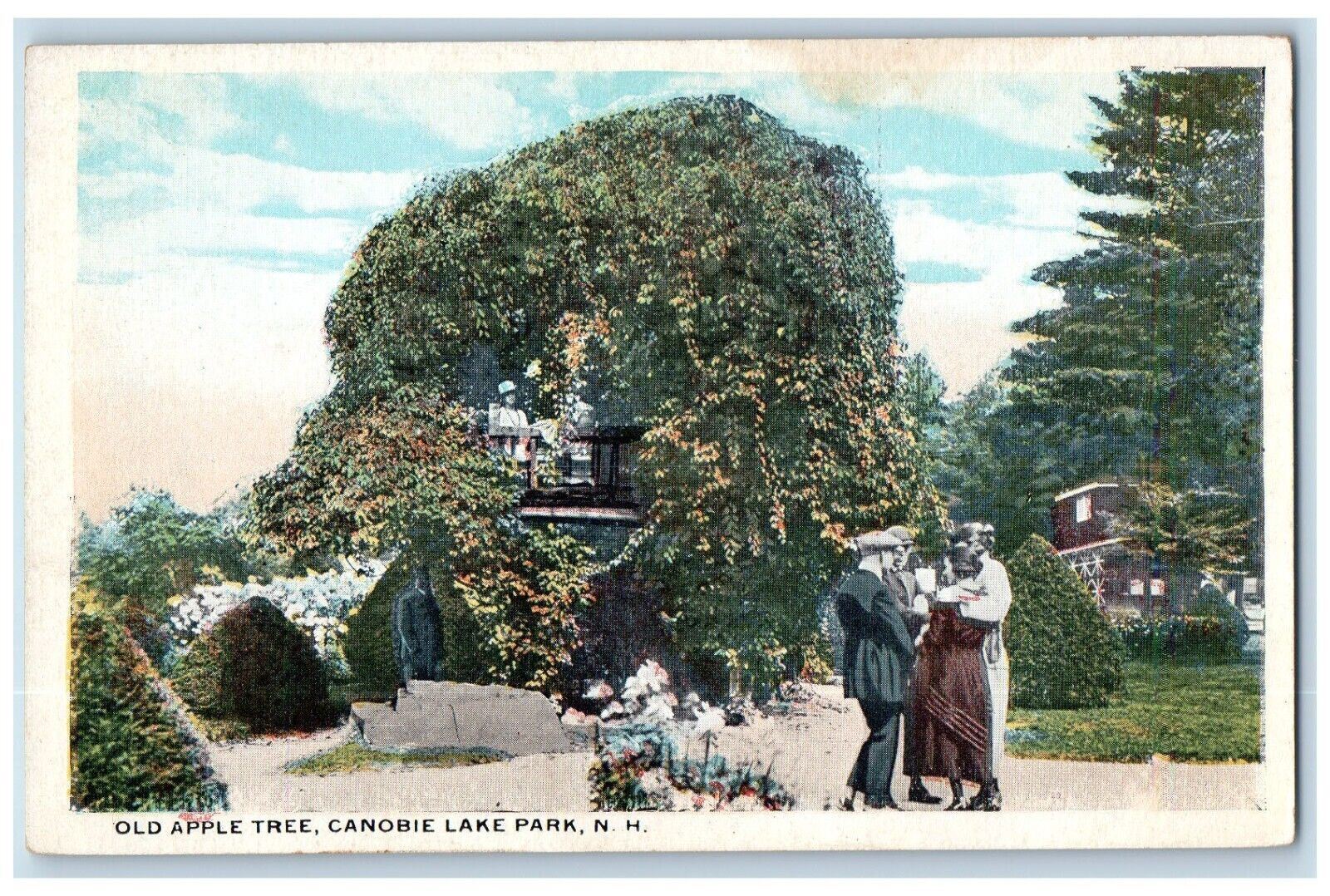 c1910's Old Apple Tree Canobie Lake Park New Hampshire NH Antique Postcard