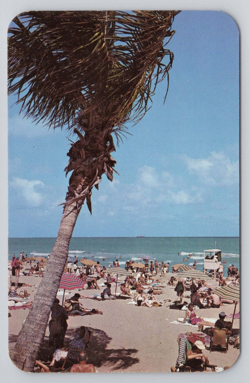 Postcard Bathing & Sun-tanning Miami Beach Florida