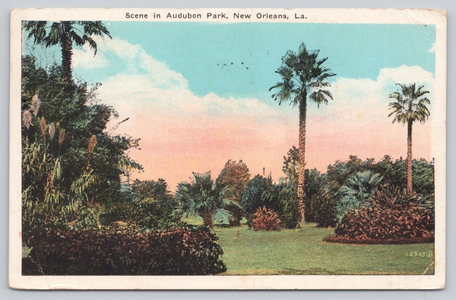 Postcard Audubon Park New Orleans LA c1924 Linen