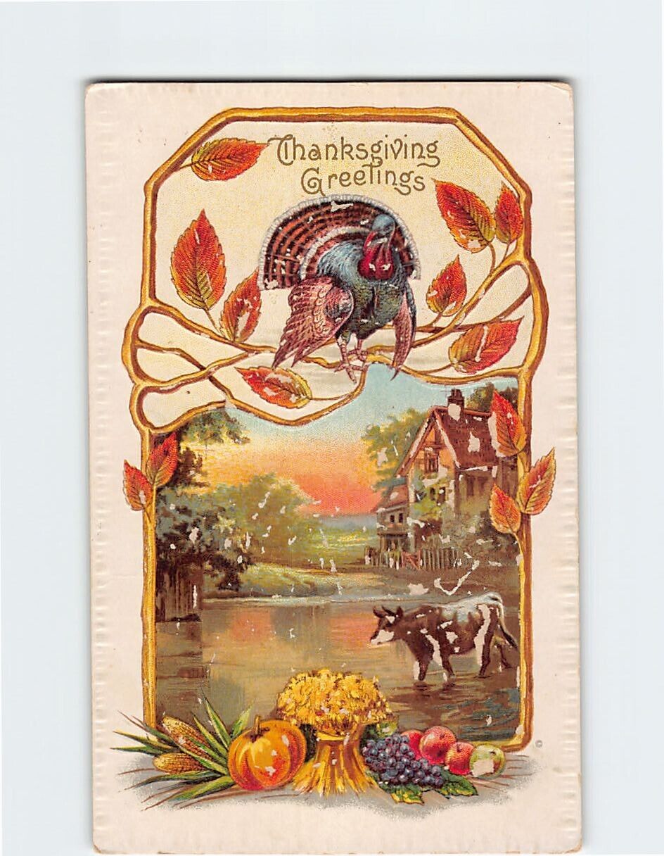 Postcard Thanksgiving Greetings with Thanksgiving Embossed Art Print