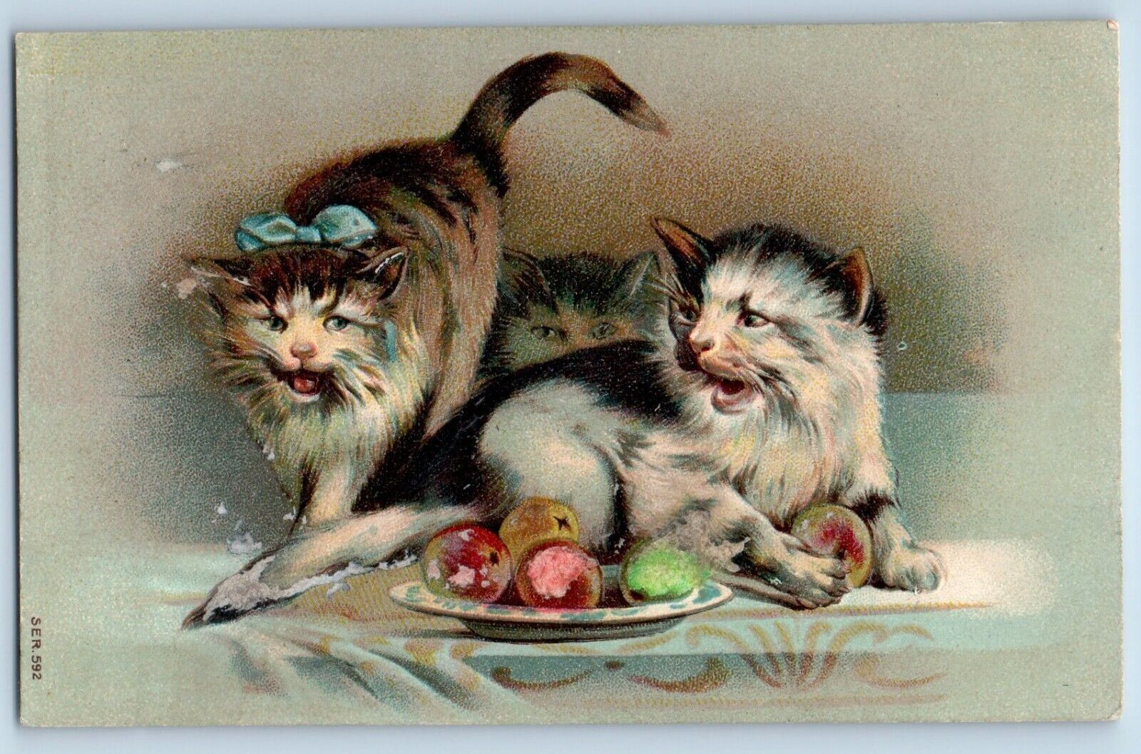 Pittsburg Pennsylvania PA Postcard Cat Kittens Fighting Embosses 1908 Antique