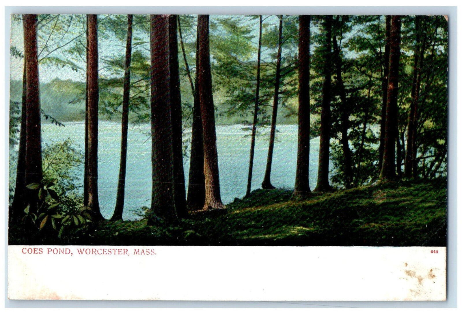 Scenic View Of Coes Pond Tree-lined Worcester Massachusetts MA Antique Postcard