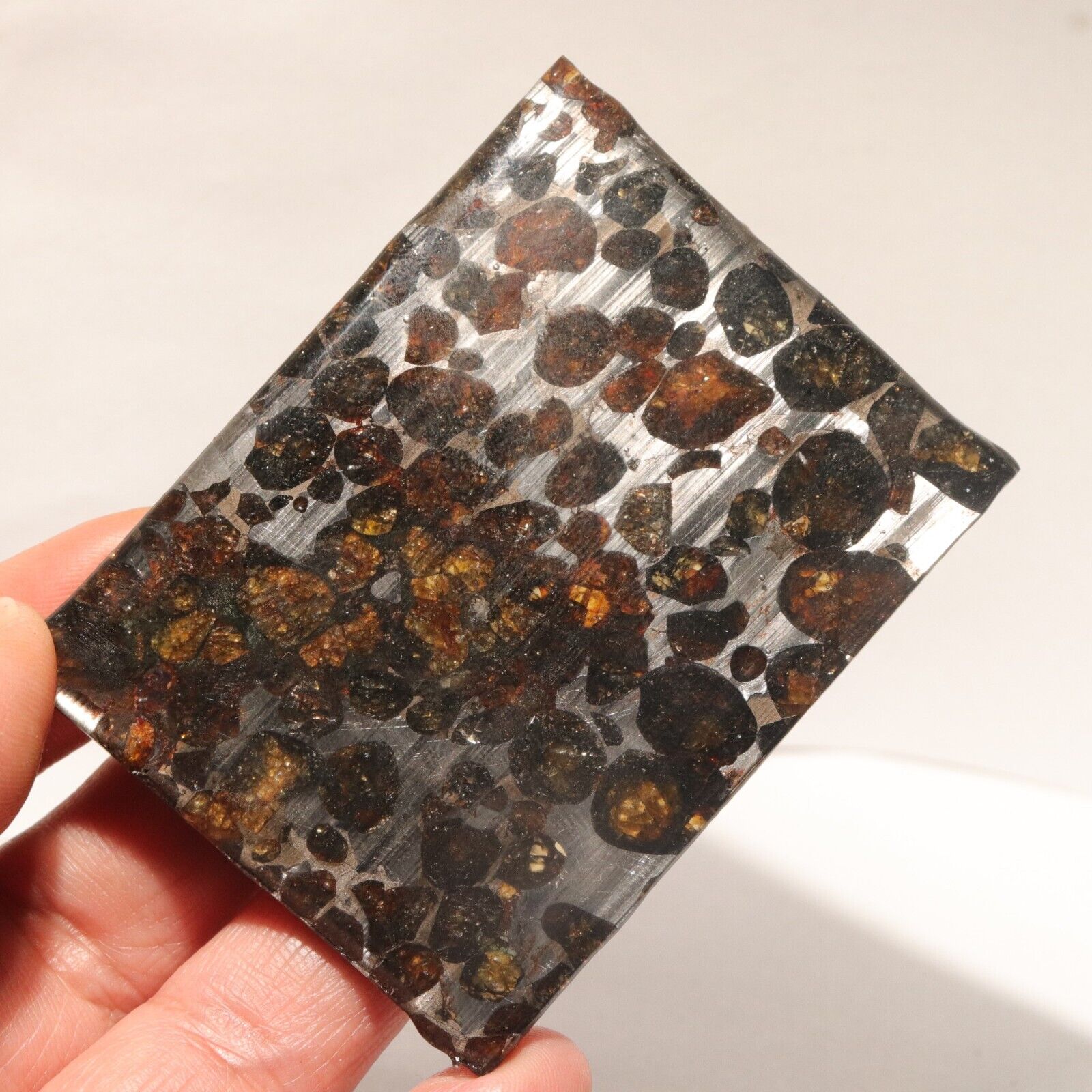 34g Rare slices of Kenyan Pallasite olive meteorite  A95