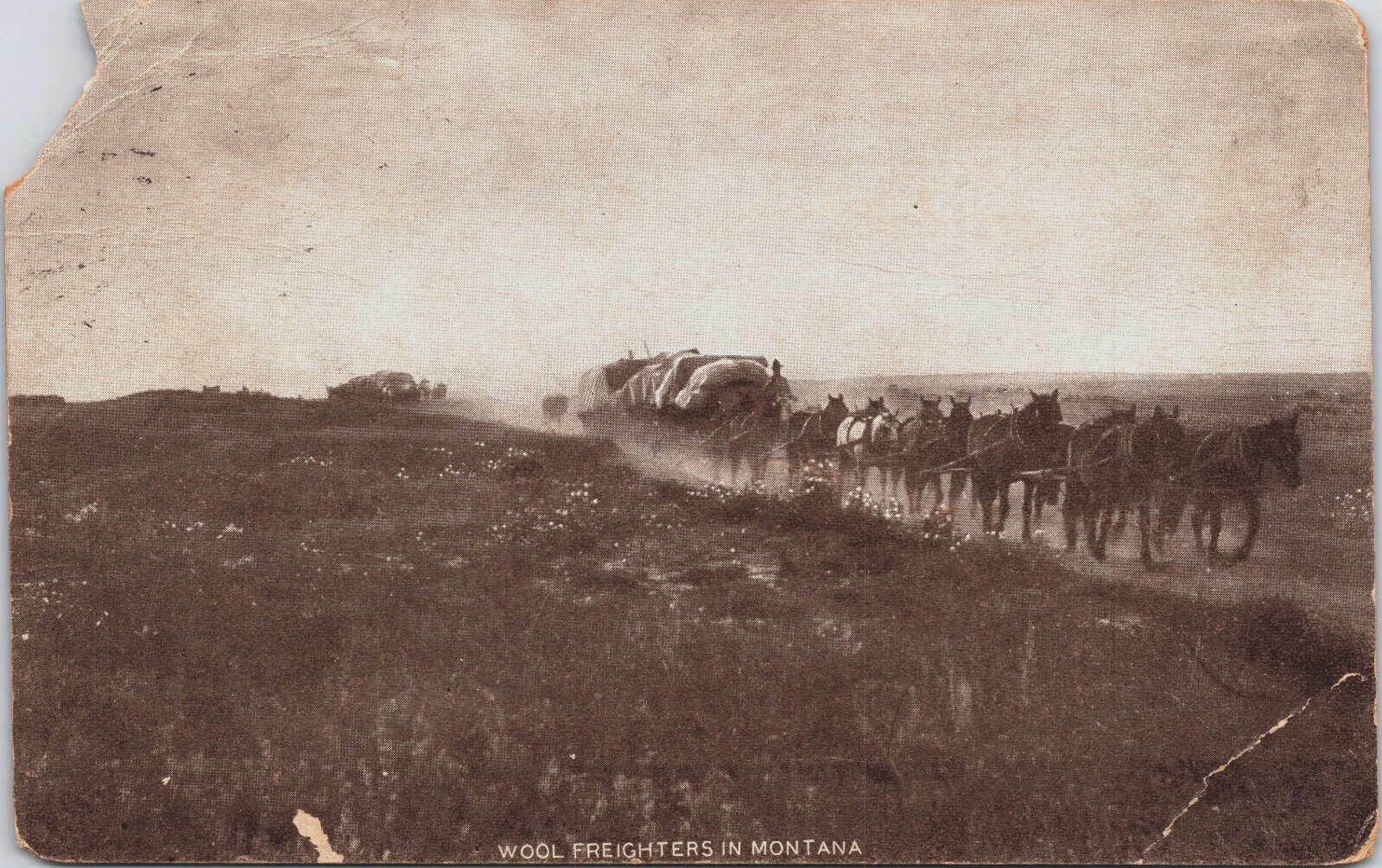 1910s Montana Wool Freighters Wagon Trains Horse Teams Cowboys Postcard RPPC