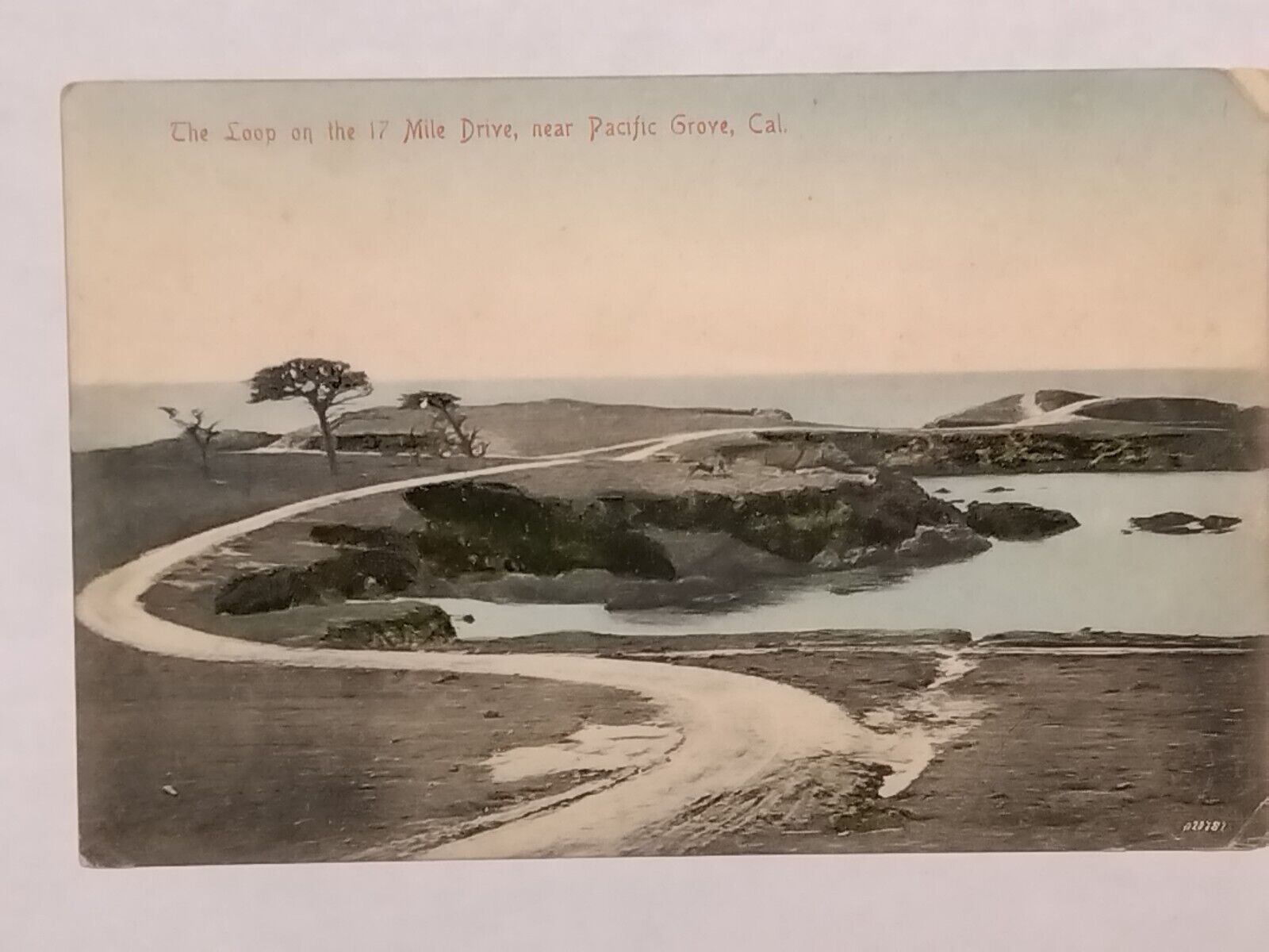 The Loop On The 17 Mile Drive Near Pacific Grove  Postcard