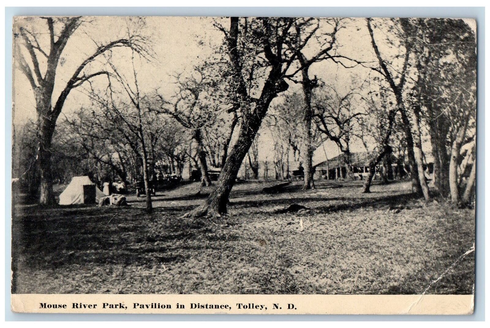 Tolley North Dakota ND Postcard Mouse River Park Pavilion In Distance Scene 1910