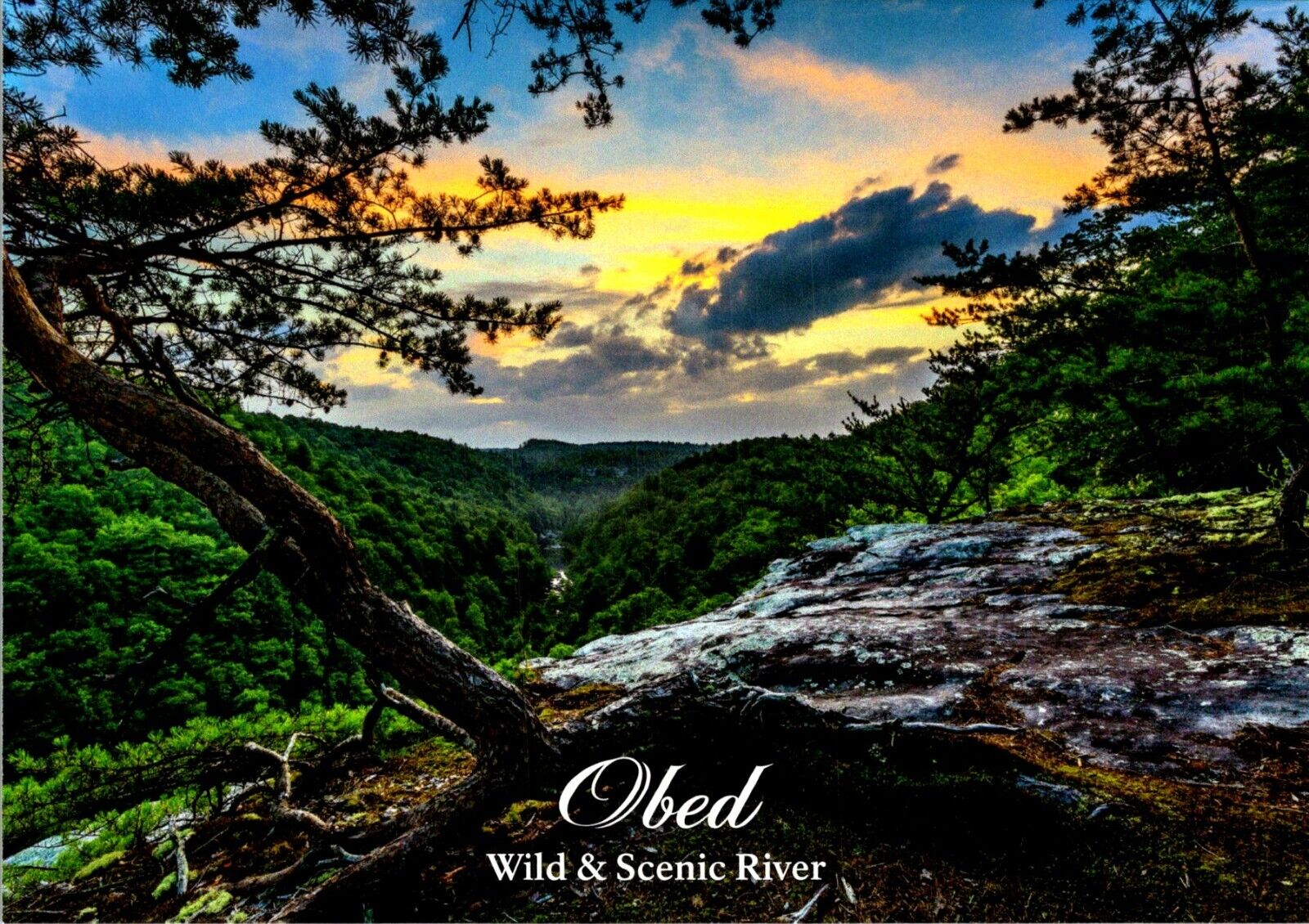 Obed Wild & Scenic River cliff edge photo postcard