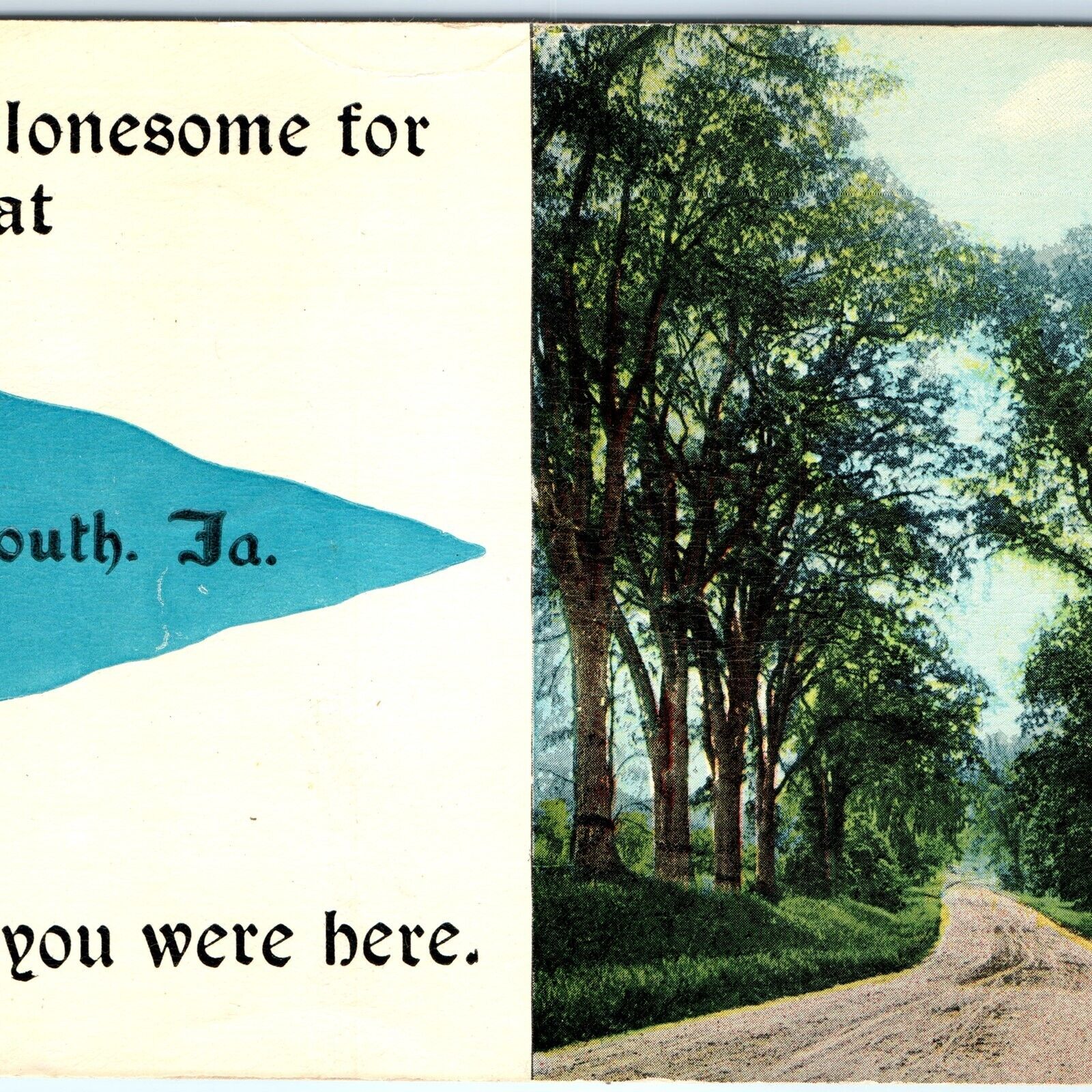 c1910s Plymouth Iowa Lonesome Lonely Miss You Wish Here Pennant Postcard IA A117