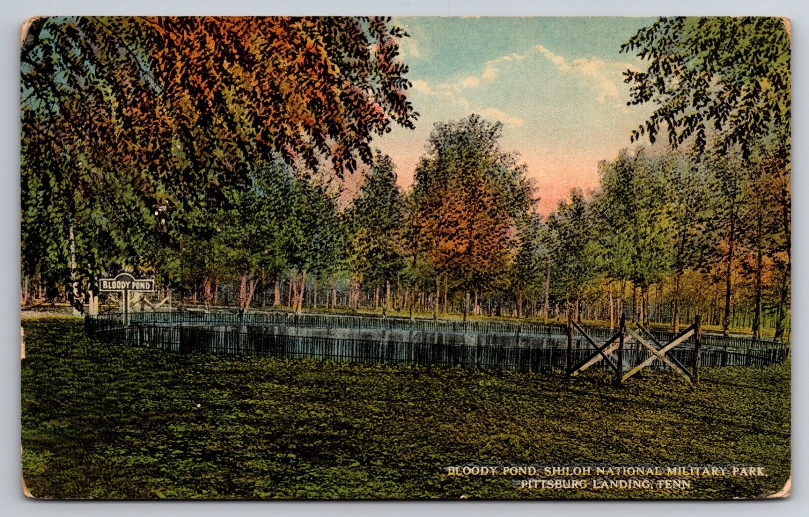 Bloody Pond Shiloh National Military Park Pittsburg Landing Tennessee c1910