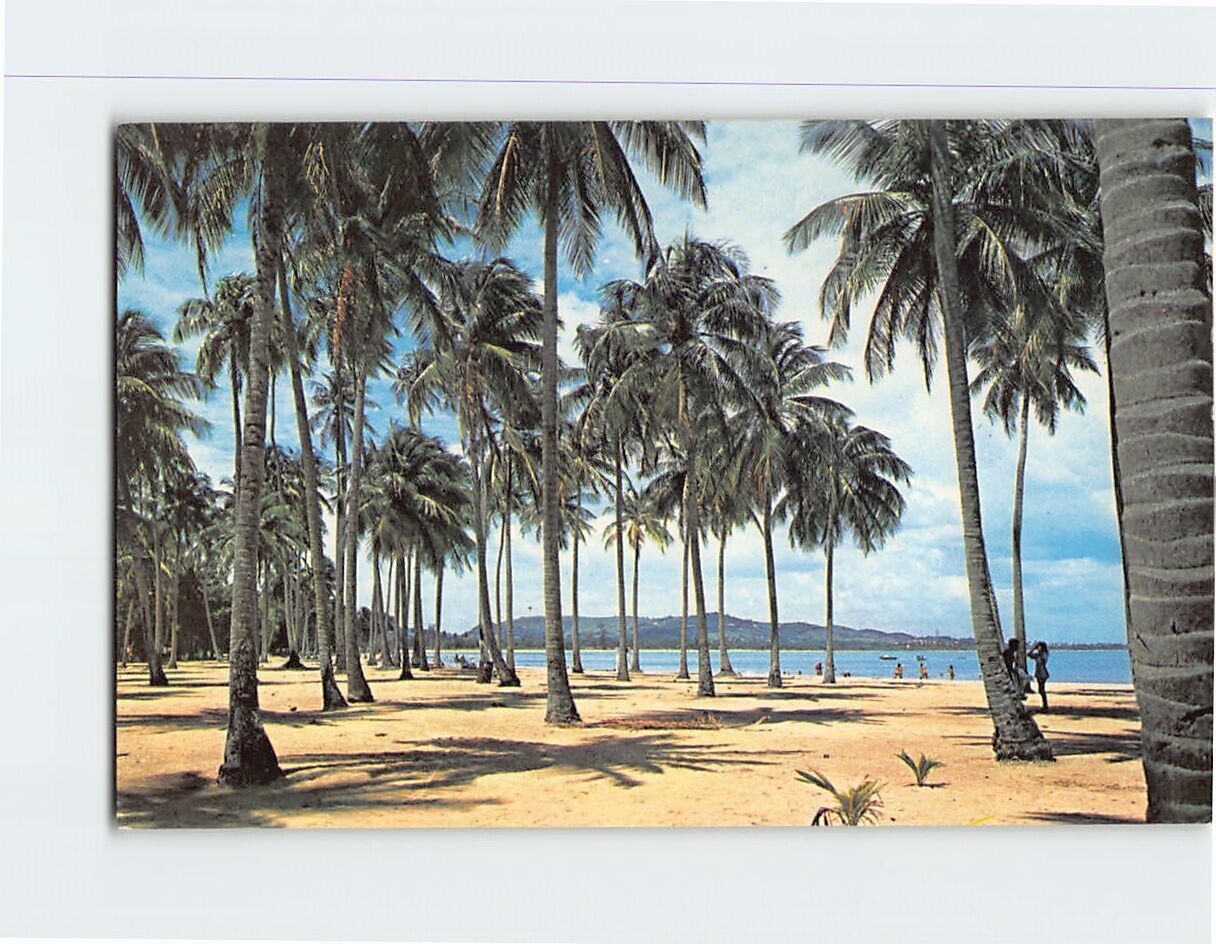 Postcard Luquillo Beach Puerto Rico USA