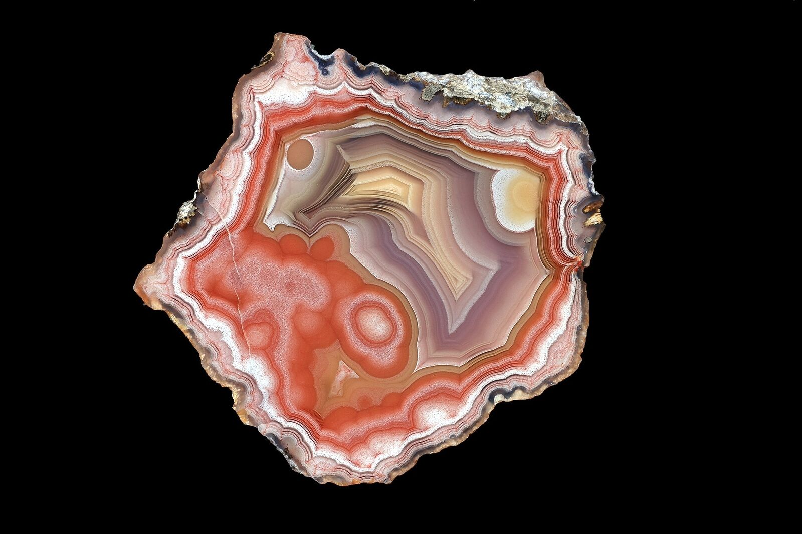Laguna Agate AAA Grade From Mexico Collectors Grade Tight Banding, Parallax and