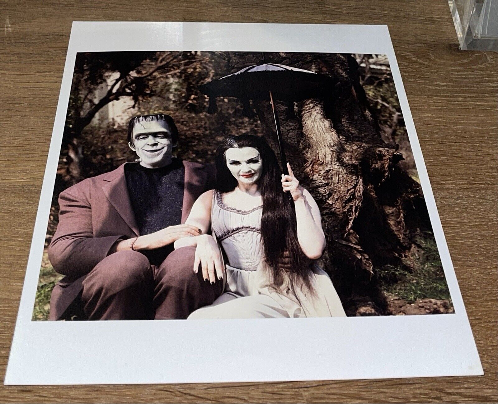 Original Vintage Type 1 Photo 🎥 The MUNSTERS Herman and Lily 1964 Sitcom