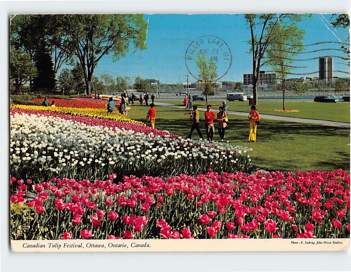Postcard Canadian Tulip Festival, Ottawa, Ontario, Canada