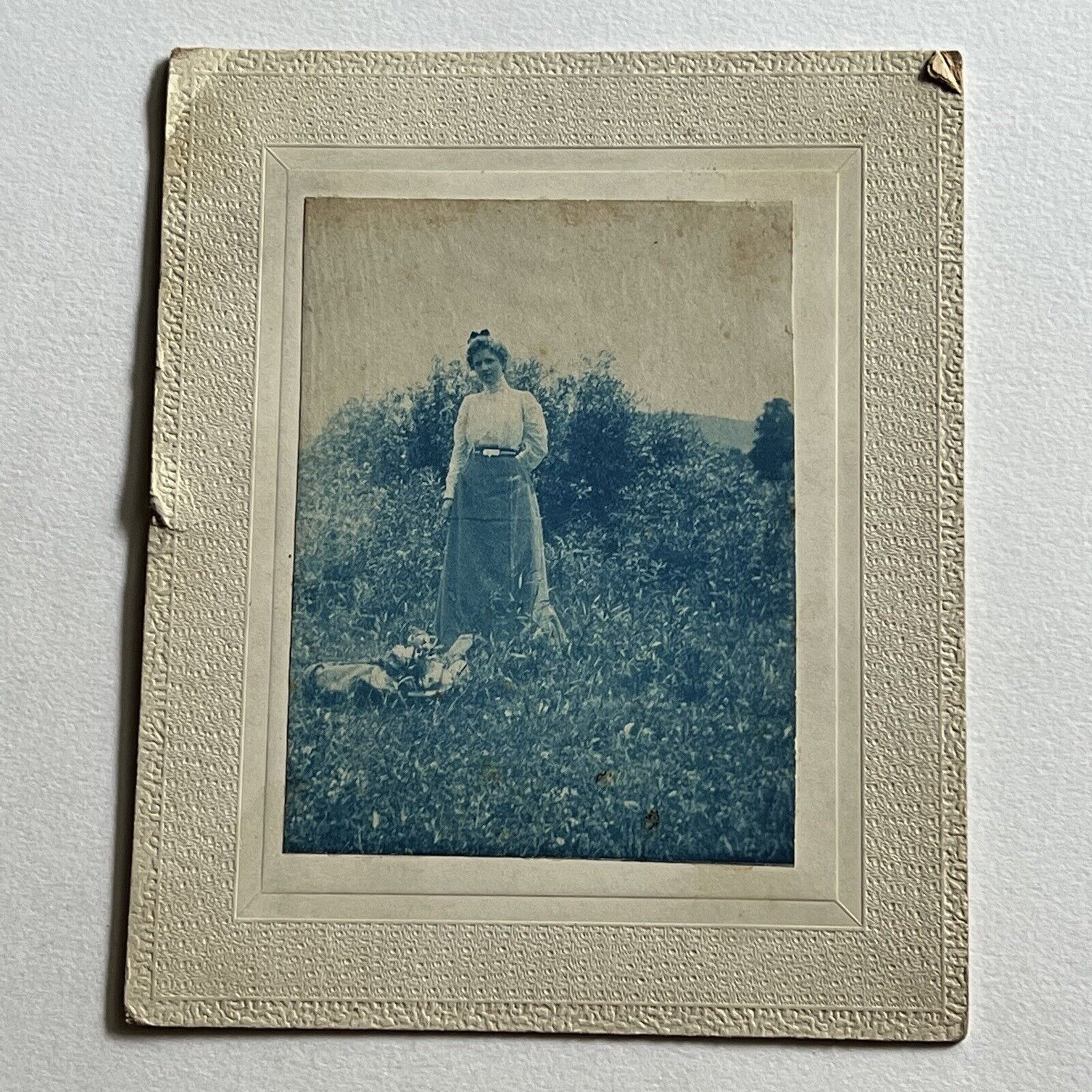 Antique Cyanotype Cabinet Card Photograph Beautiful Fashionable Woman Outside