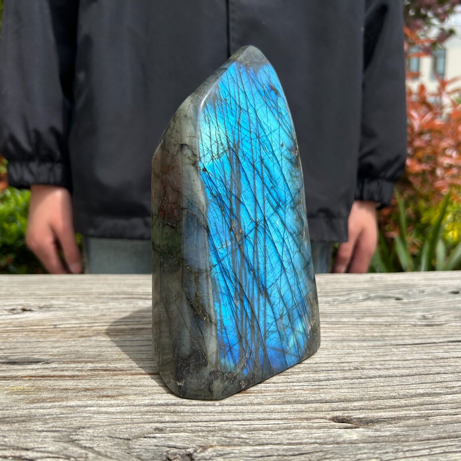 4.8LB 7.2\'\'Natural Blue Flash Labradorite Quartz Crystal Ornament Healing Decor