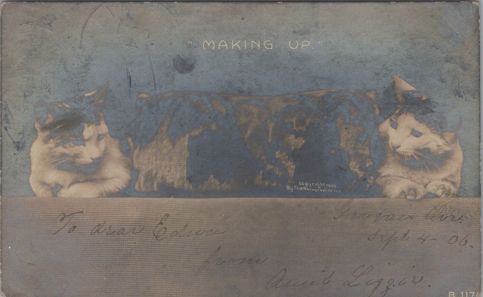 RPPC Postcard Cats in Sock Making Up 1906