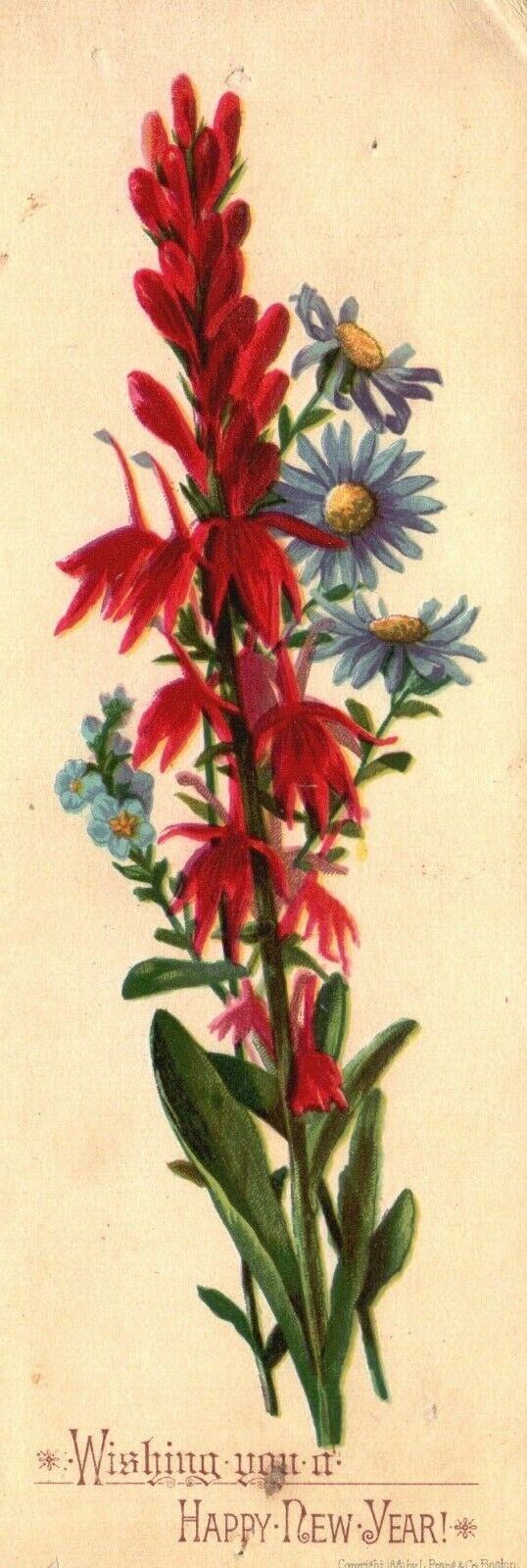 1880s-90s Red & Blue Flowers Wishing You A Happy New Year Trade Card
