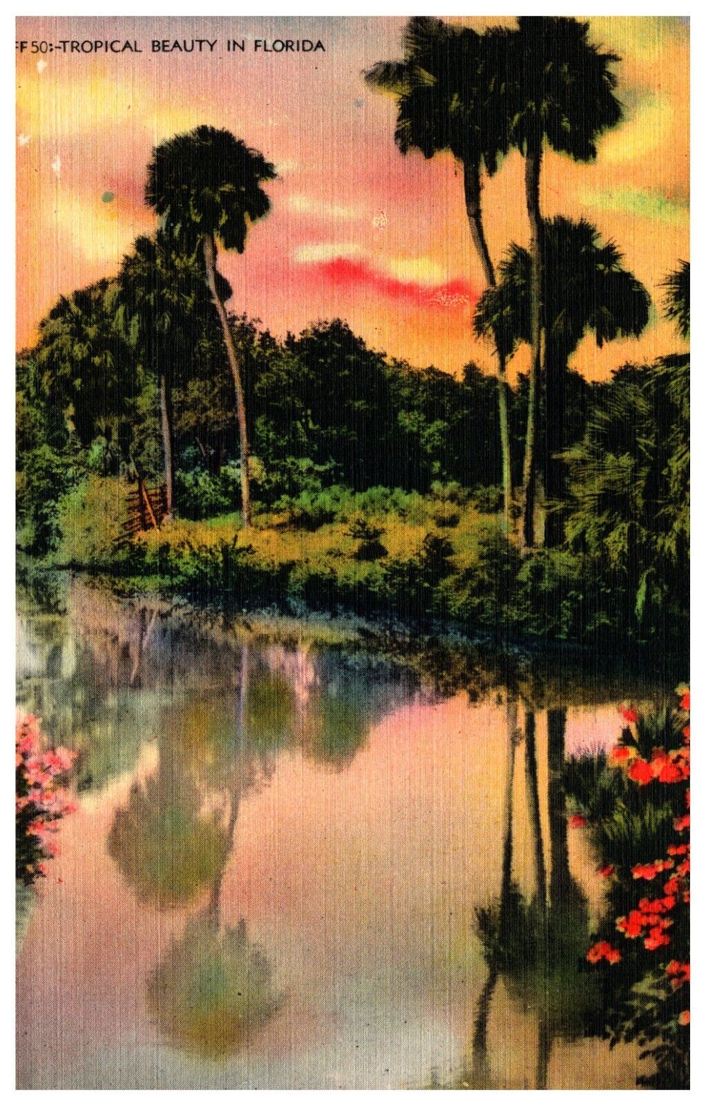 Tropical Beauty In Florida Vintage Linen Postcard UNPOSTED c1940s