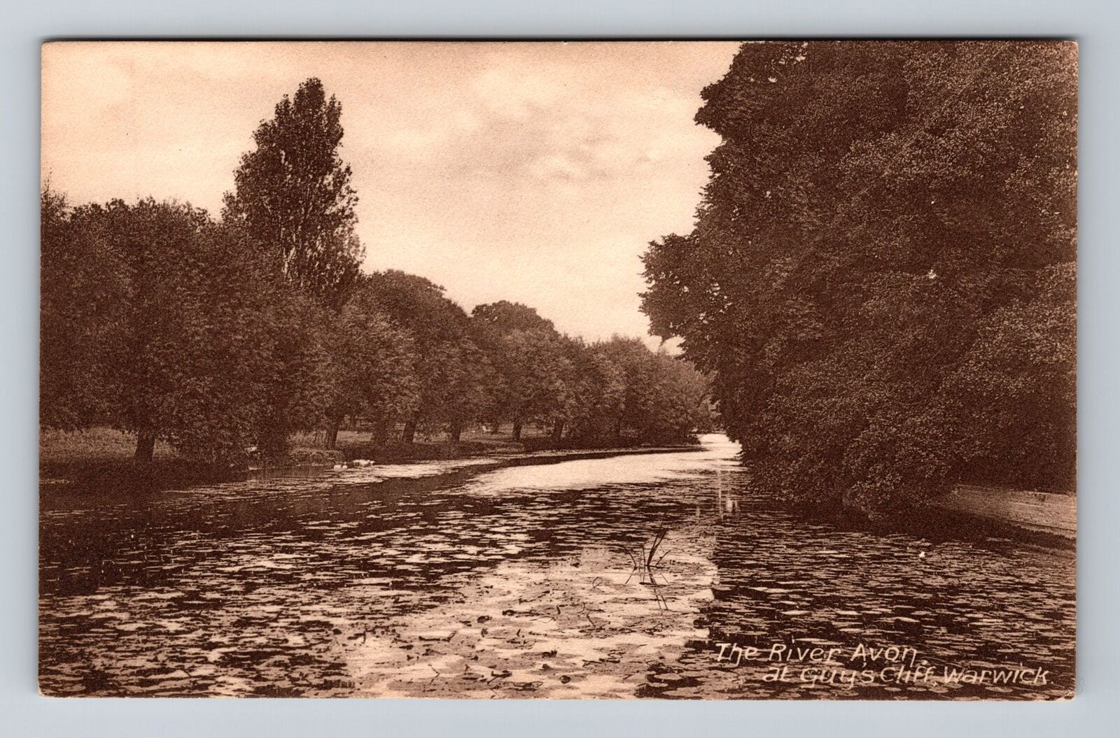 Warwick England, Scenic The River Avon At Guys Cliff, Antique Vintage Postcard