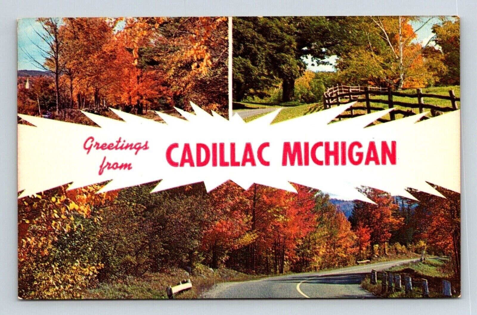 Greetings Cadillac Michigan Scenic Multi View Autumn Landscape Chrome Postcard