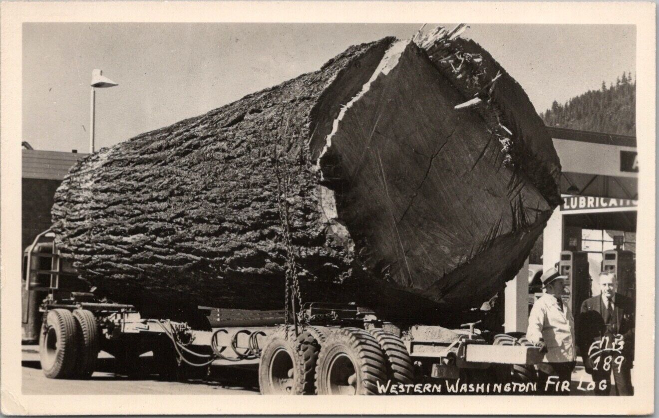 c1940s Washington Real Photo RPPC Postcard Fir Log / Logging Truck / ELLIS 189
