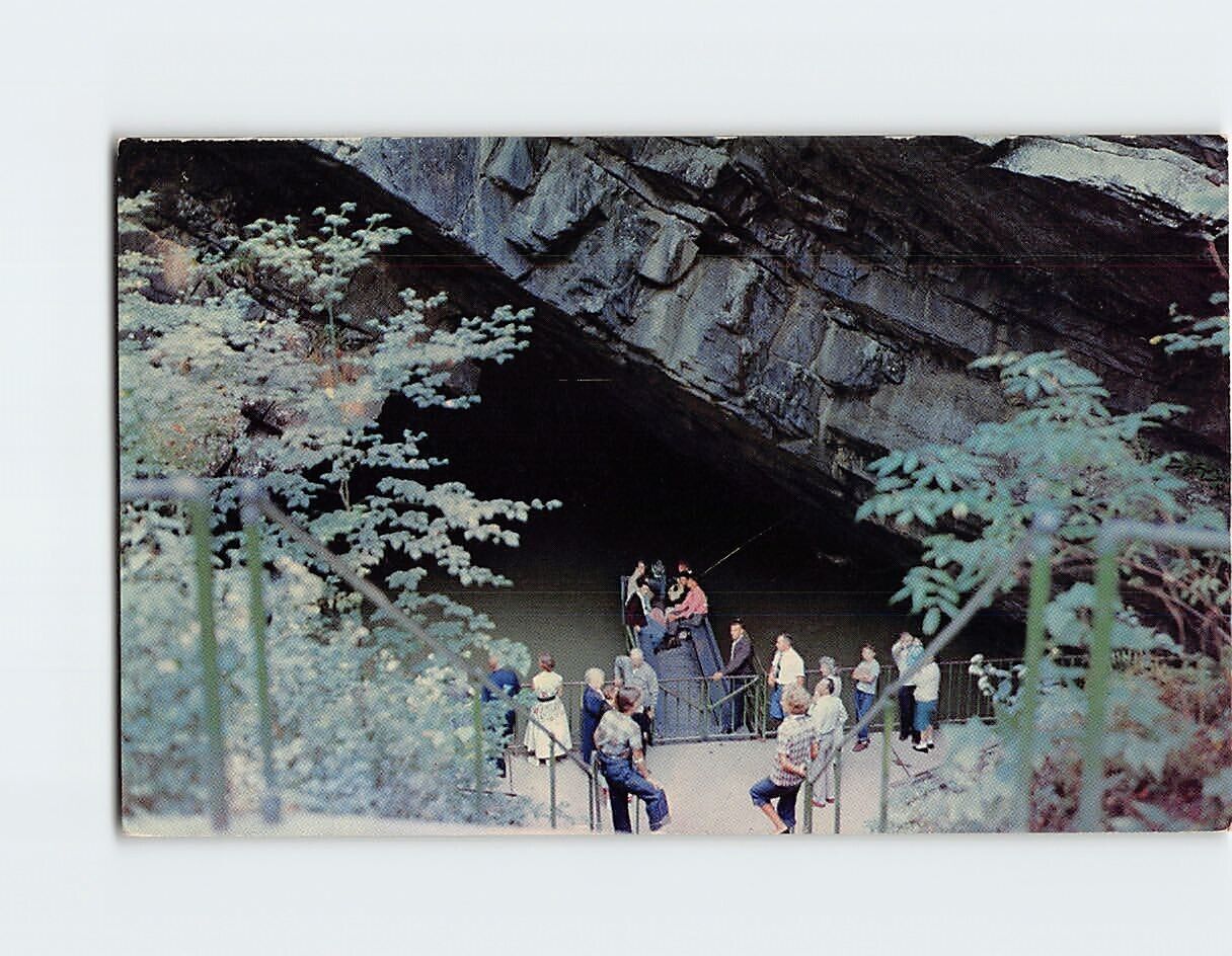 Postcard Entrance to Penn's Cave Pennsylvania USA