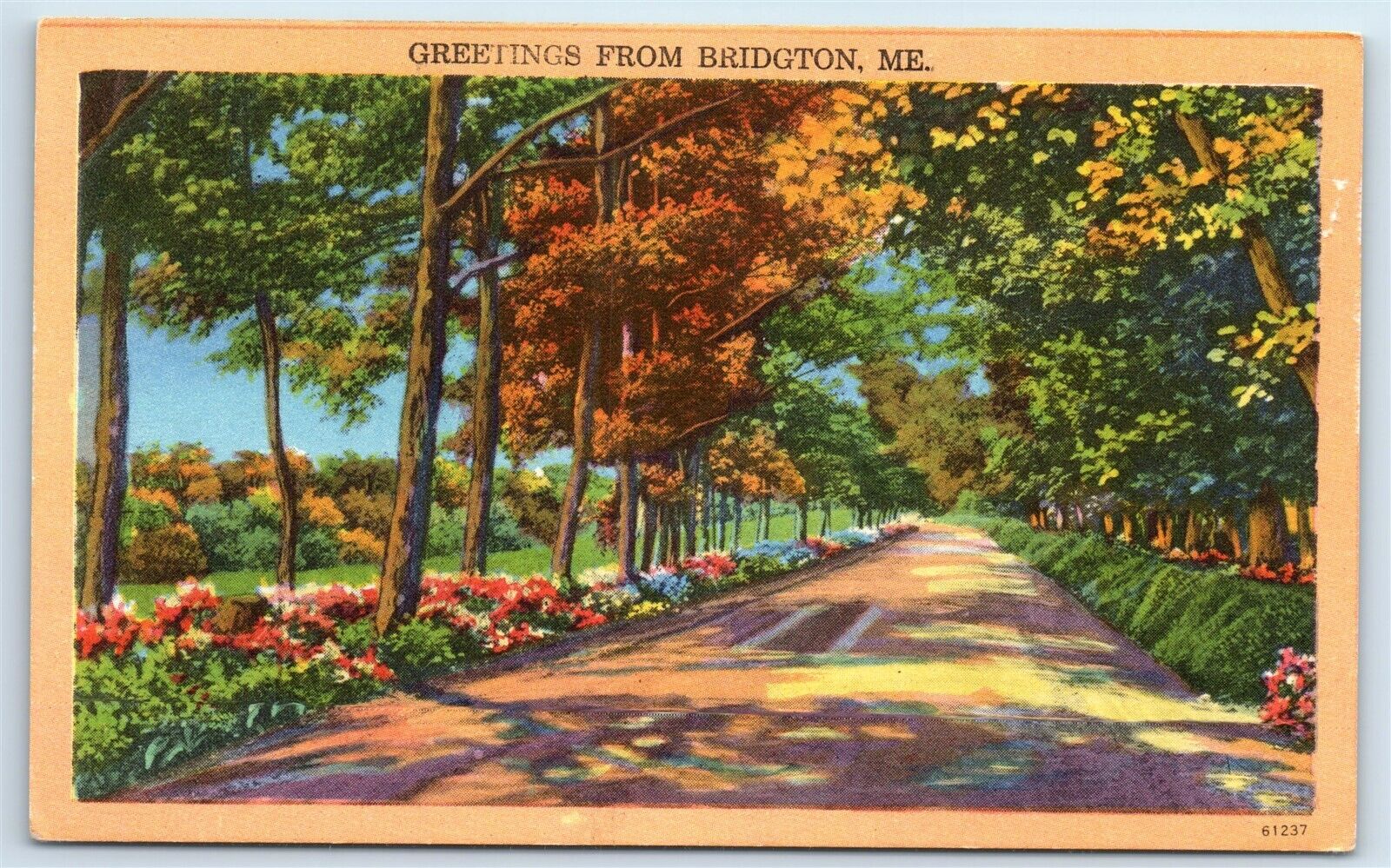 Postcard Greetings from Bridgton, Maine J180