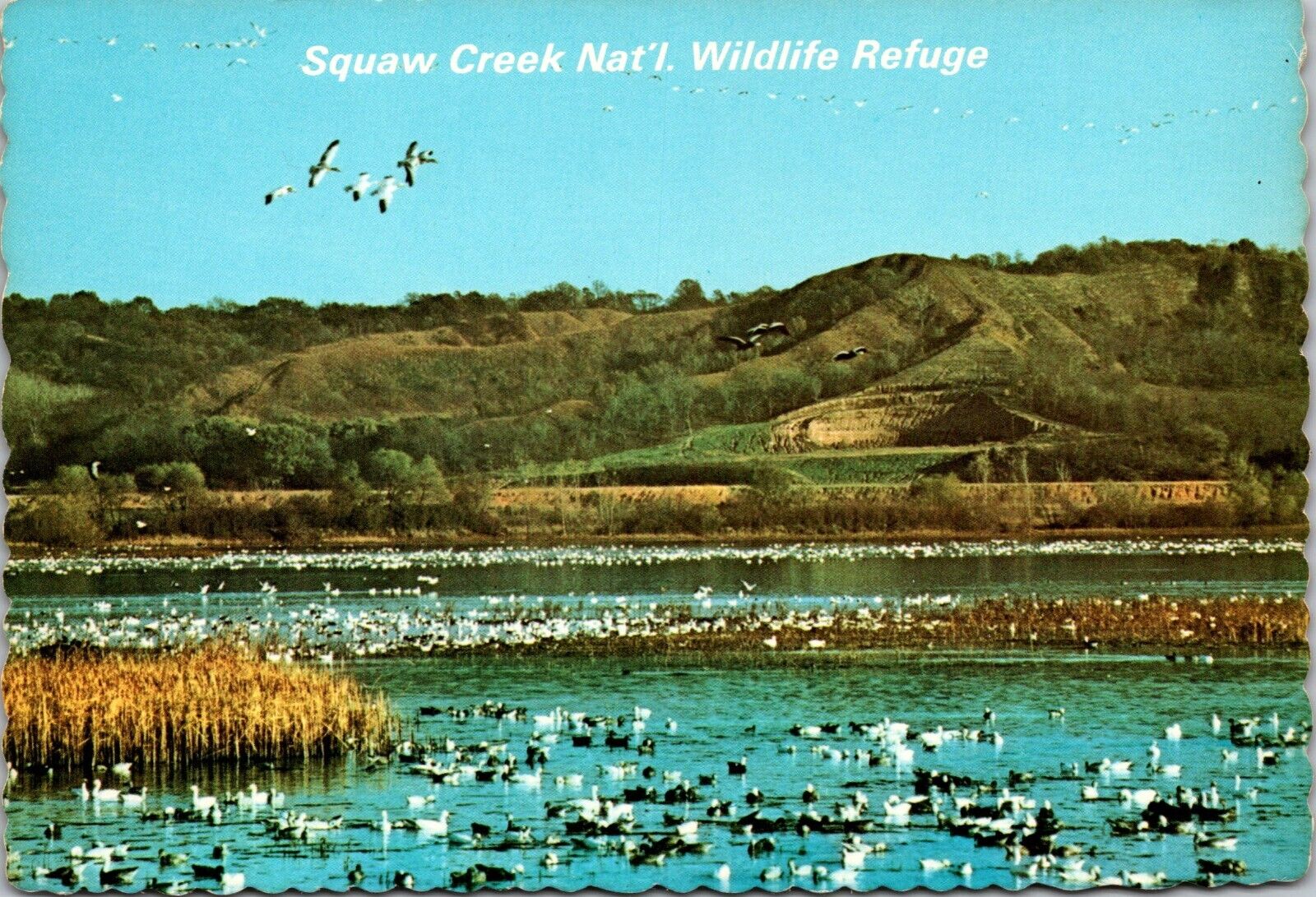 Postcard 4 x 6 Swan Creek National Wildlife Refuge Mound City Missouri [cf]