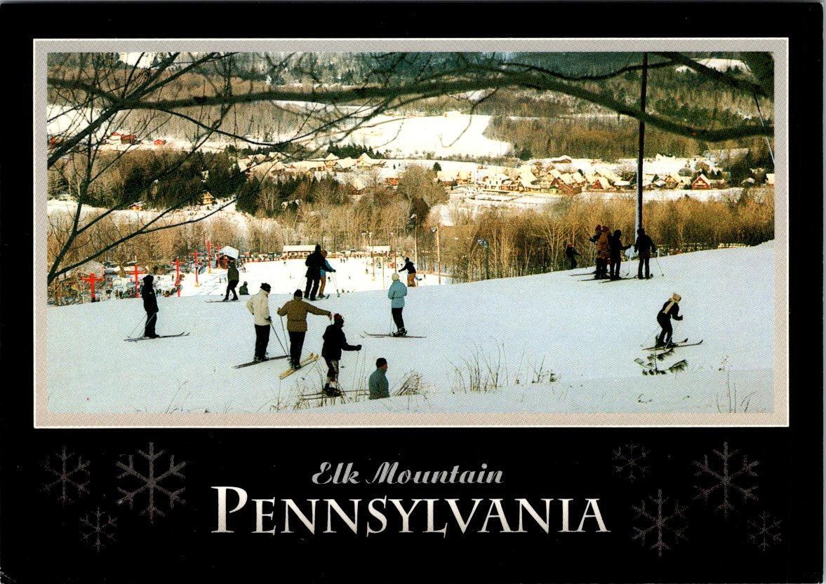 Union Dale, PA Pennsylvania  ELK MOUNTAIN SKI AREA  Skiers~Skiing  4X6 Postcard