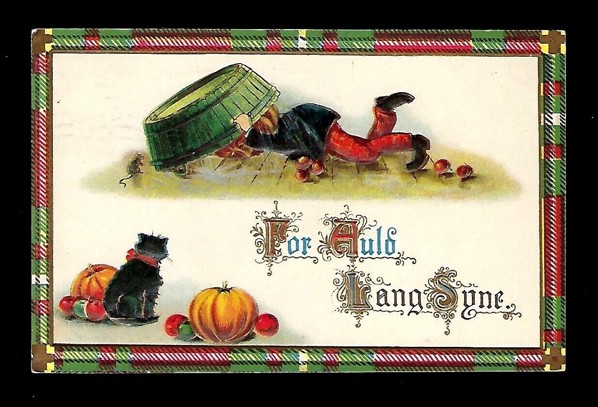 c1913 Gottschalk Dreyfuss & Davis Halloween Postcard Pumpkin Head Man Cat,JOL