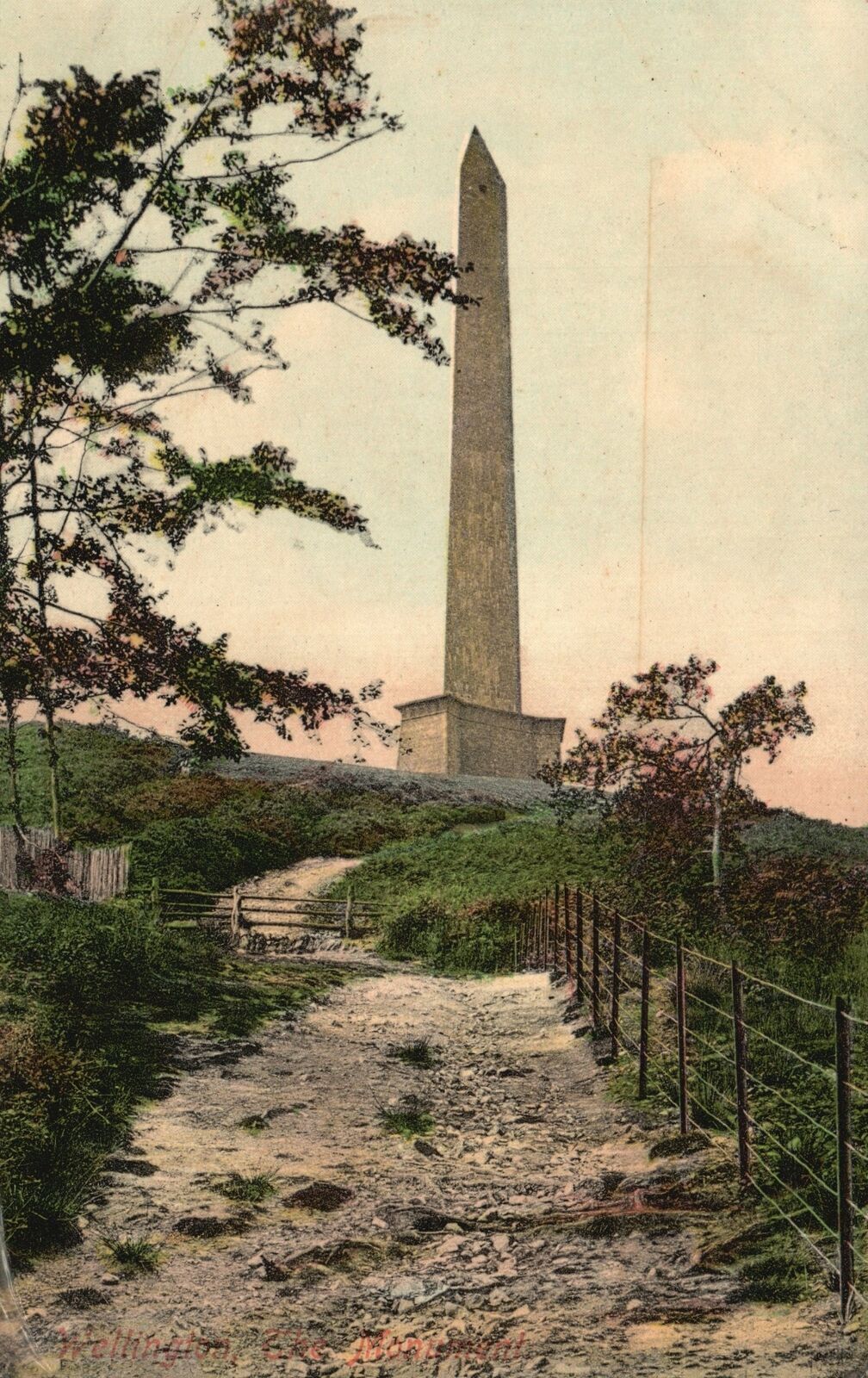 Vintage Postcard 1910\'s The Wellington Monument Somerset Devon England UK
