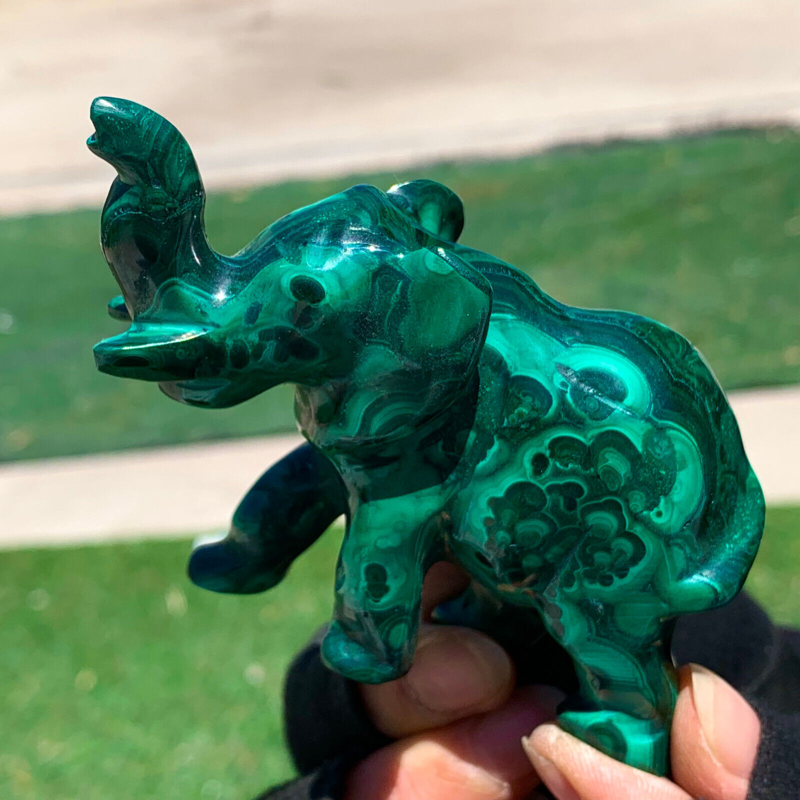 222G Natural glossy Malachite Crystal  Handcarved elephant mineral sample
