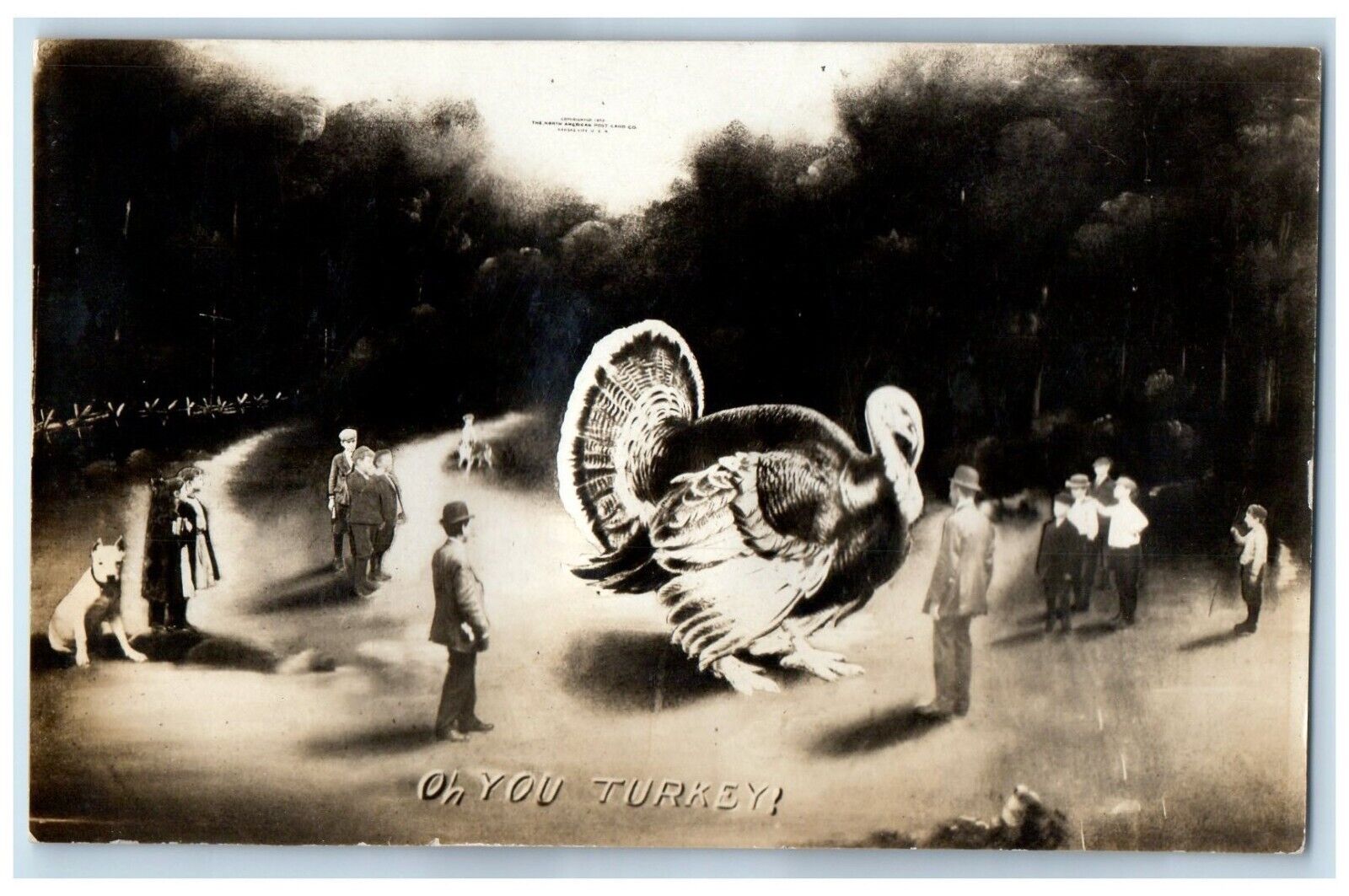 c1910's Exaggerated Turkey Martin RPPC Photo Thanksgiving Antique Postcard