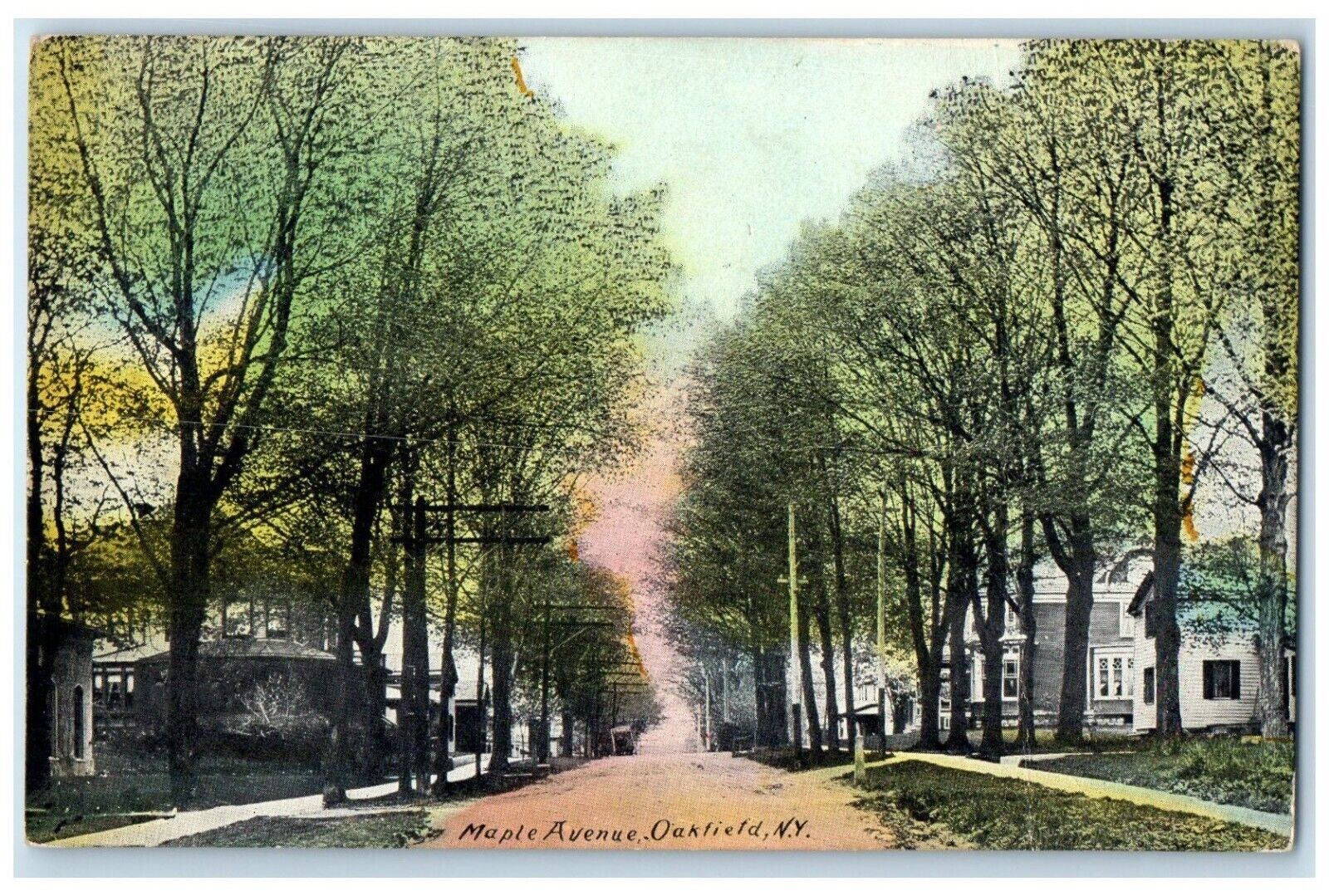 1909 Maple Avenue Exterior Houses Oakfield New York NY Vintage Antique Postcard