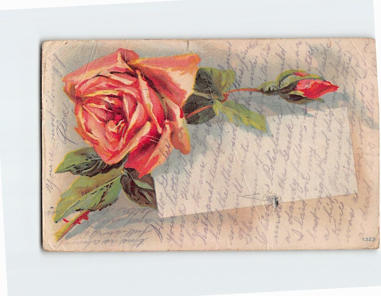 Postcard Blank Card With Big Rose Design