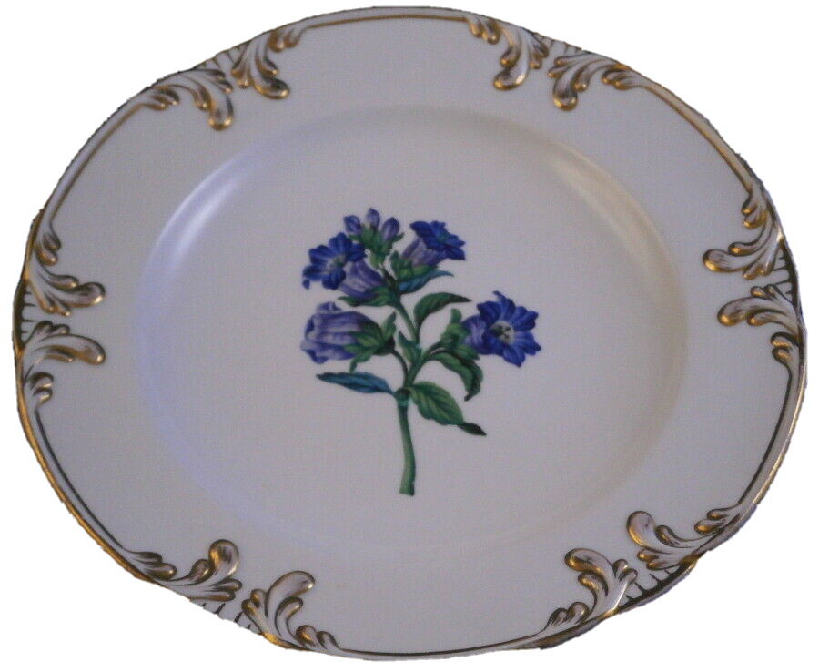 Antique Mid 19thC Schlaggenwald Porcelain Floral Plate Porzellan Teller German E