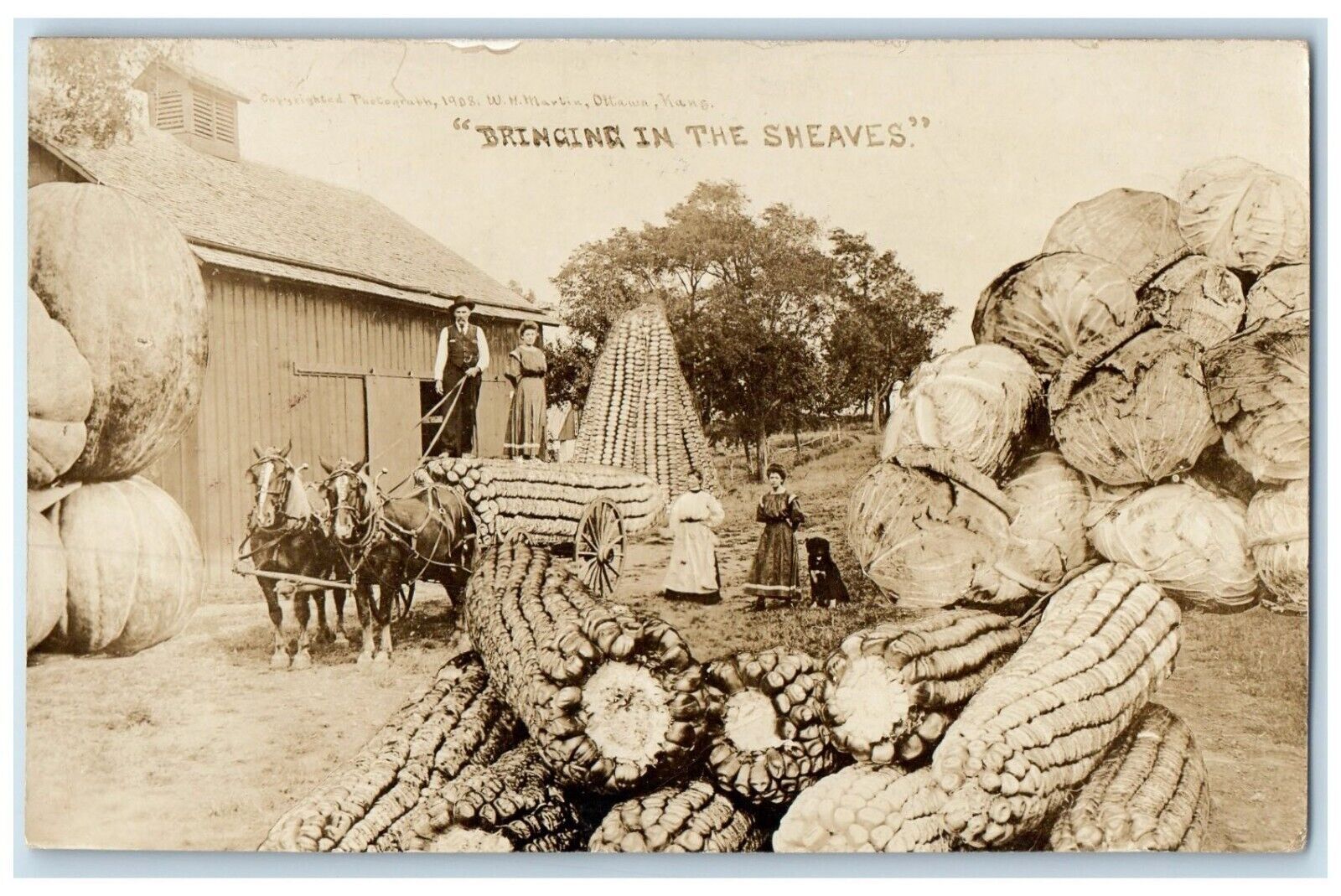 1908 Exaggerated Cabbage And Corn Pumpkin Wichita Kansas KS RPPC Photo Postcard