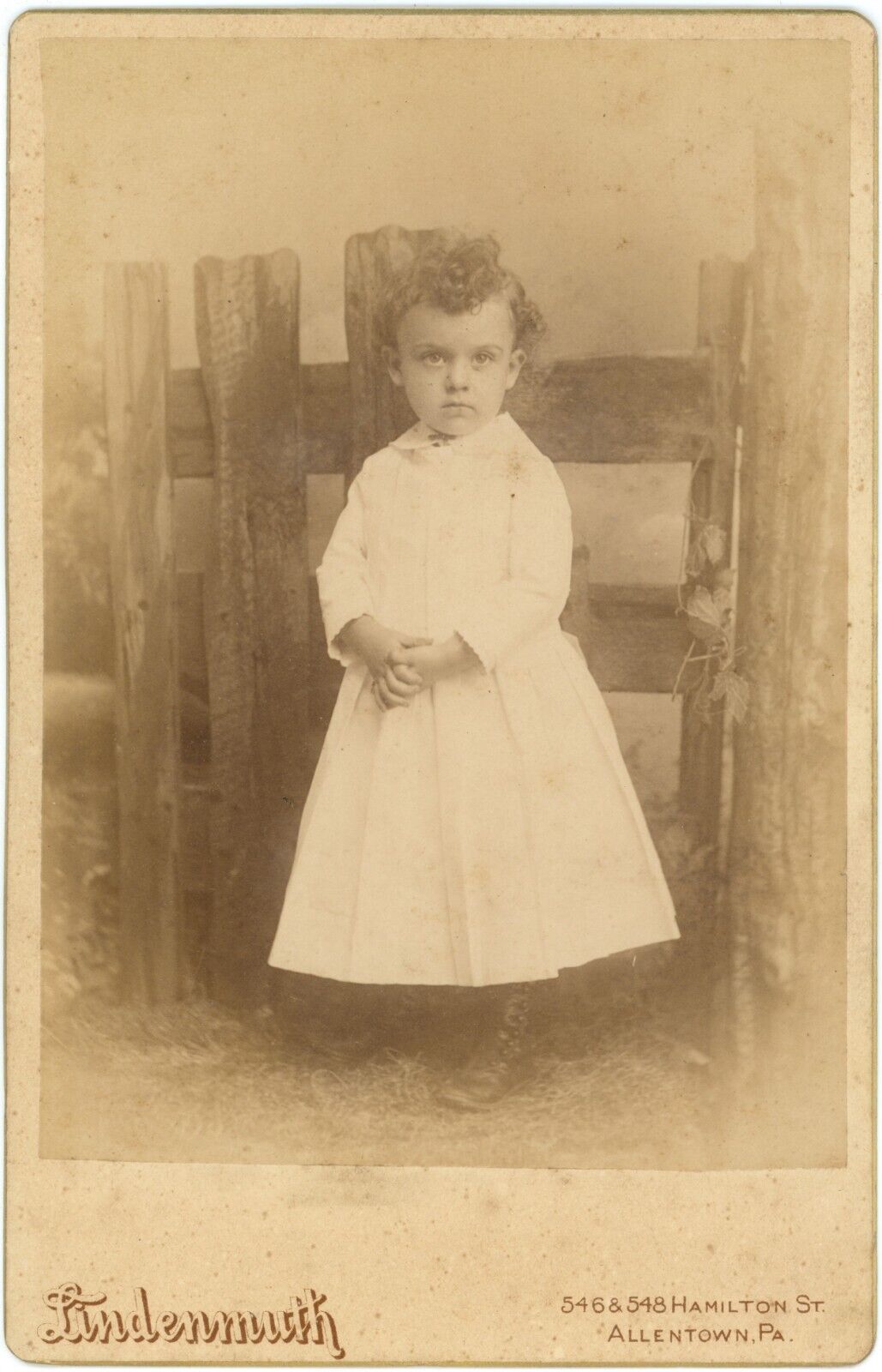 CIRCA 1890\'S CABINET CARD Adorable 3 Year Old By Fence Lindenmuth Allentown PA