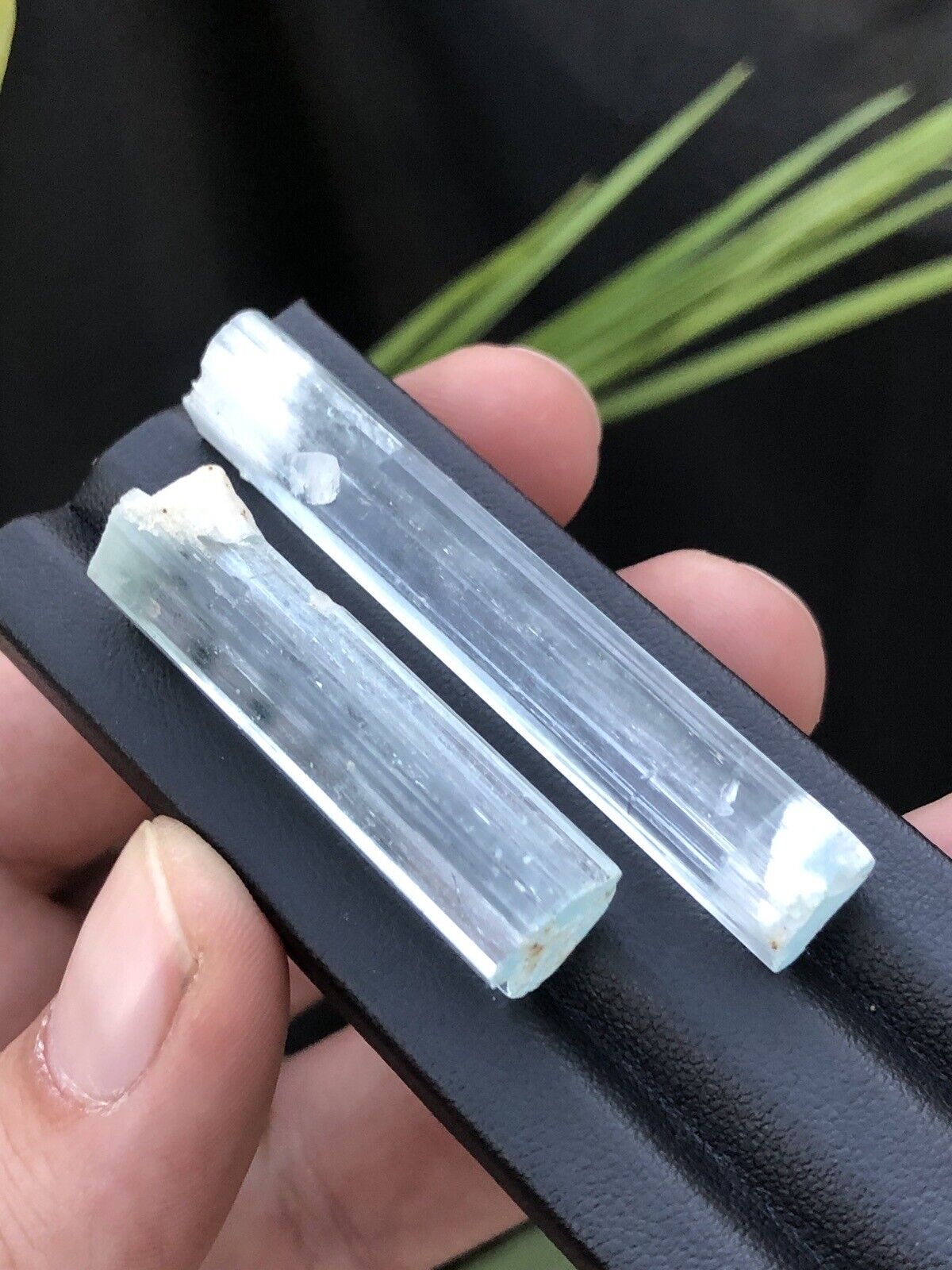 Stunning Quality Aquamarine Crystals