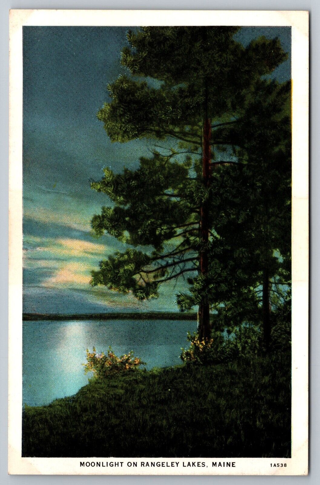 Moonlight on Rangeley Lakes. Rangeley Maine Postcard