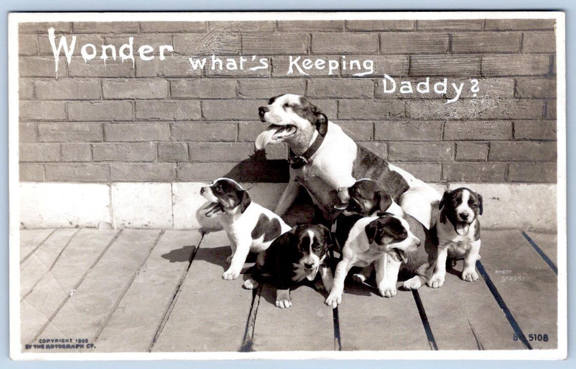 Pre-1907 RPPC ROTOGRAPH HOUND DOGS PUPPIES WONDER WHAT\'S KEEPING DADDY POSTCARD