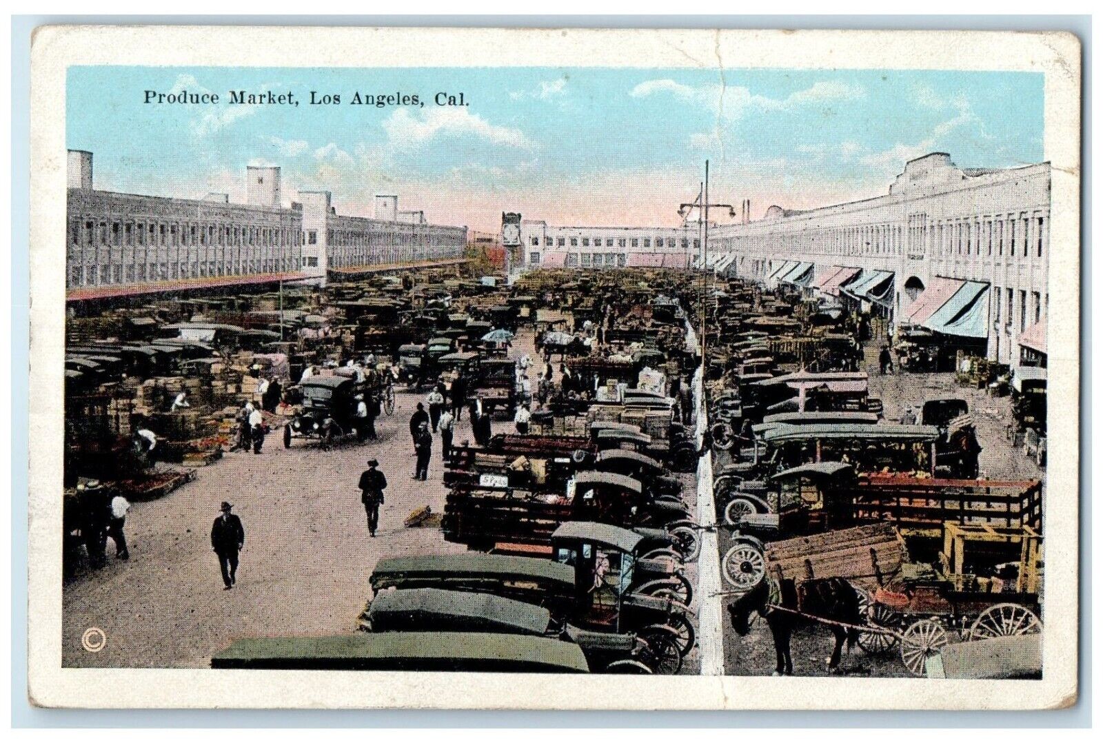 c1910\'s Produce Market Los Angeles California CA, Crowded Cars Antique Postcard