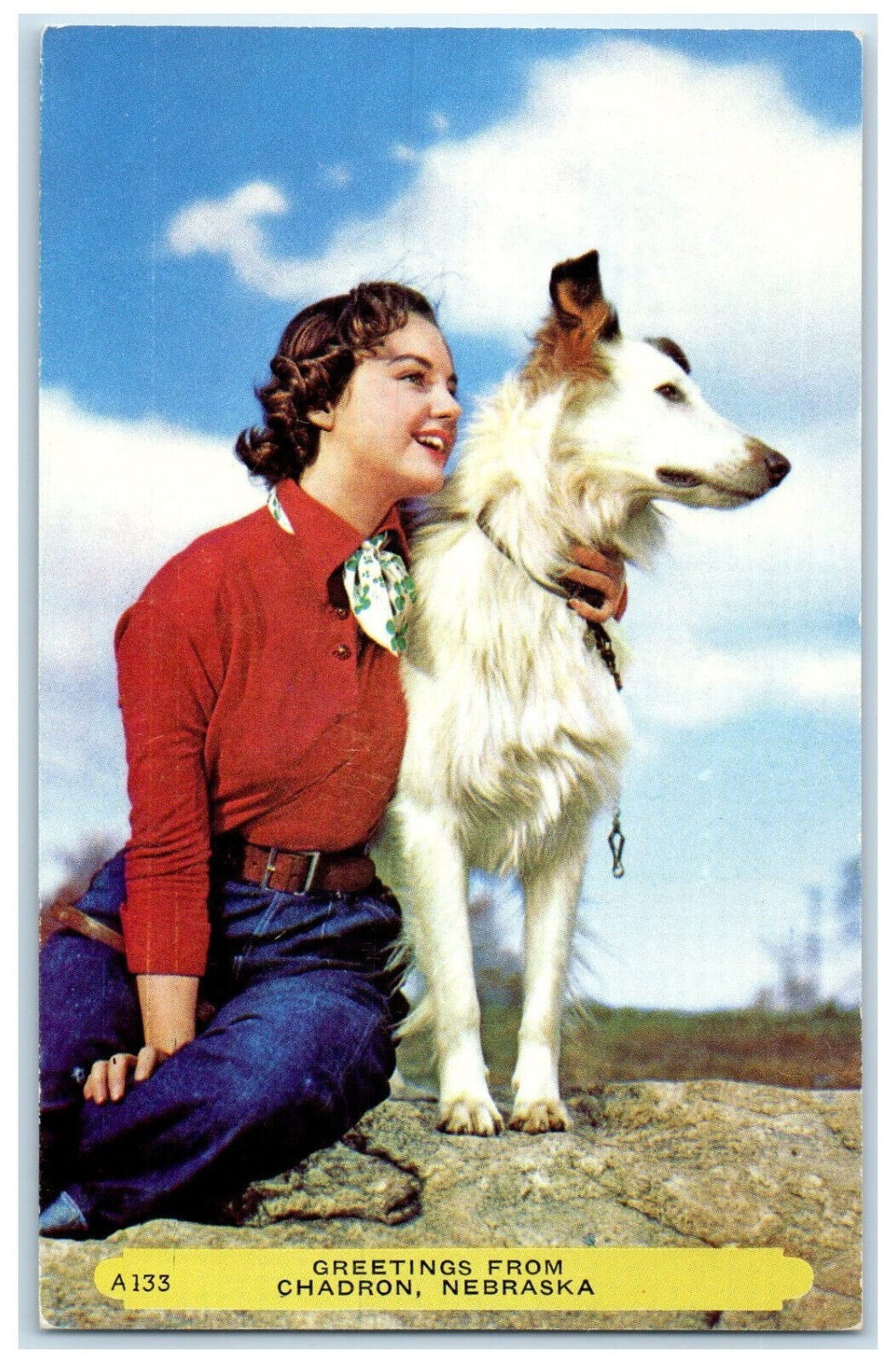 c1960's Greetings from Chadron Nebraska NE Vintage Dog Owner Rembrant Postcard