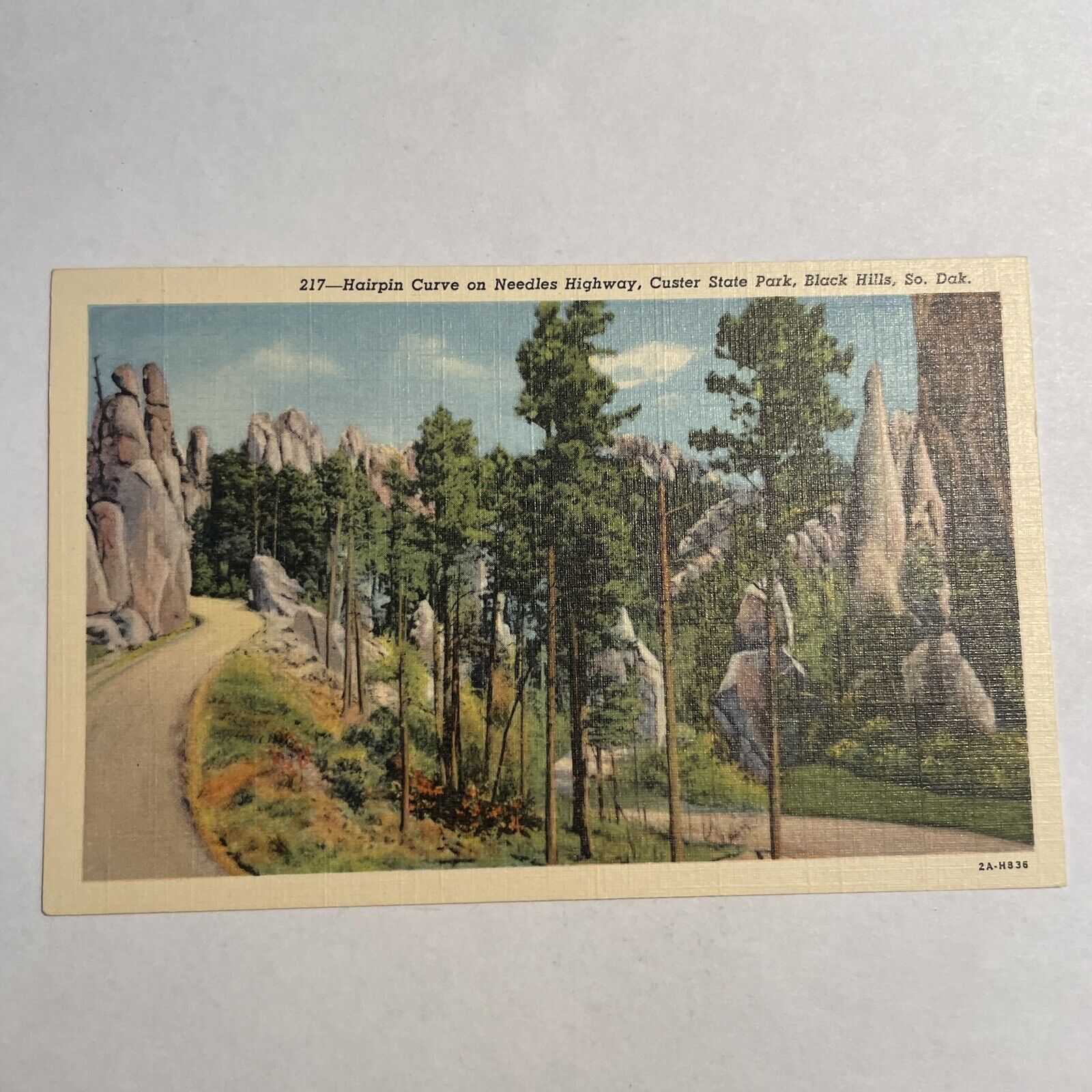 Custer South Dakota Hairpin Curve Needles Highway Vintage SD Postcard