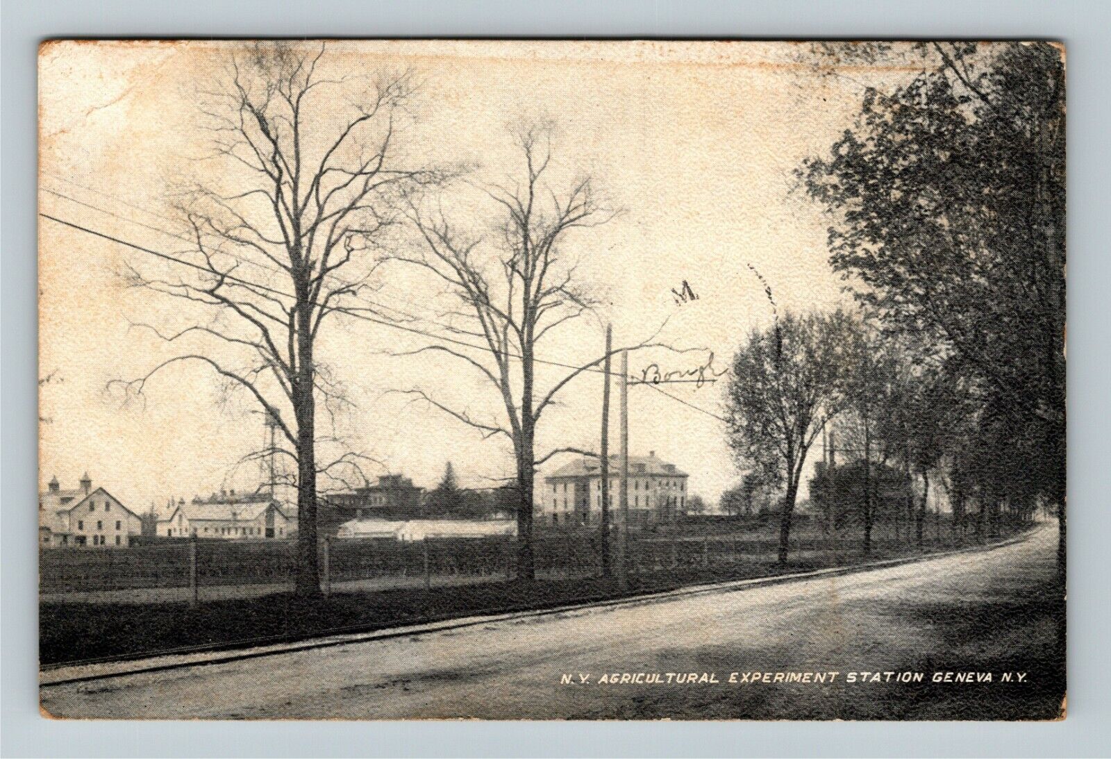 Geneva NY-New York, NY Agricultural Experiment Station c1910 Vintage Postcard