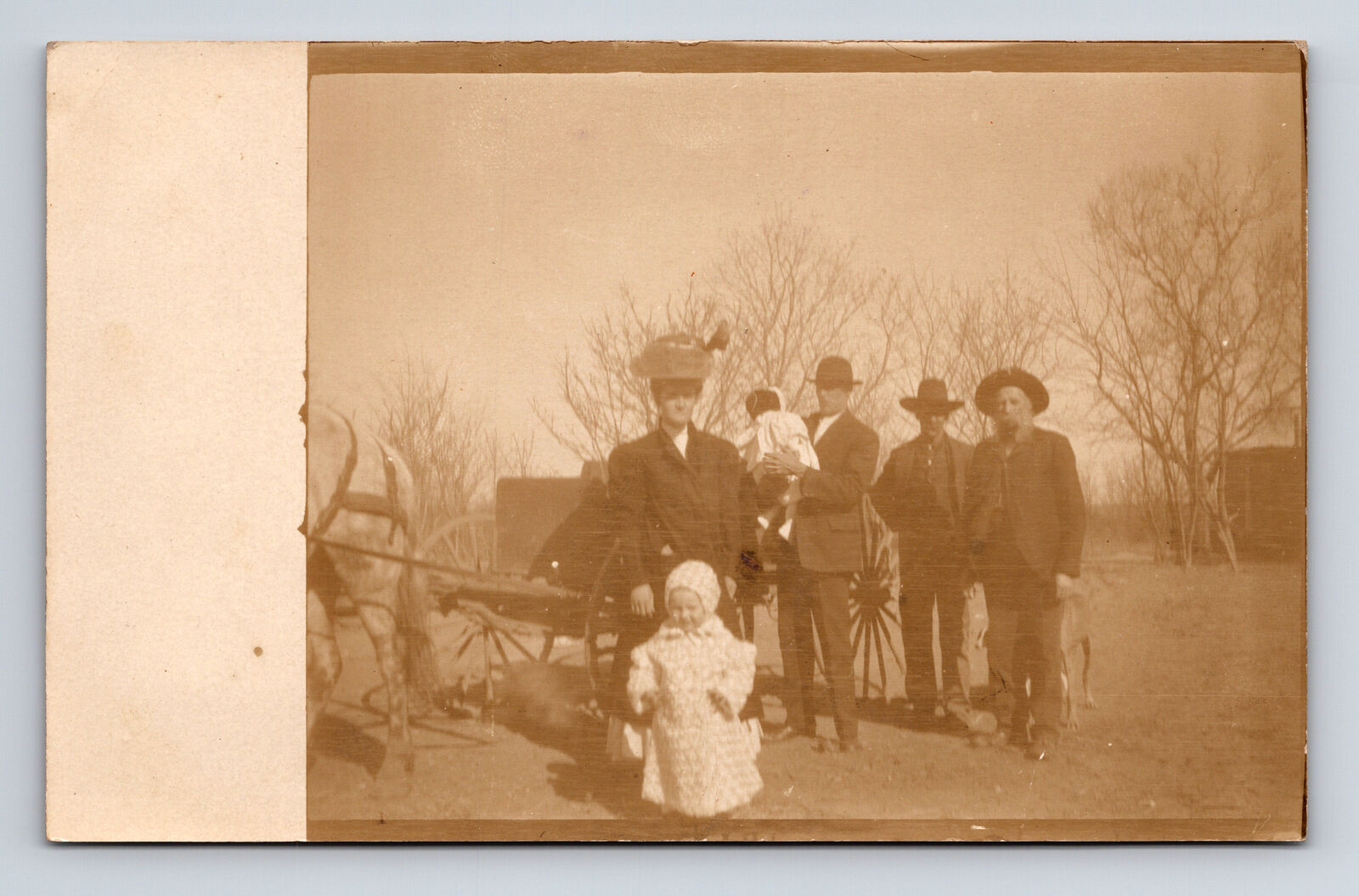 RPPC Portrait of Family at Farm Horse Carriage Babies Jim James Dark? Postcard